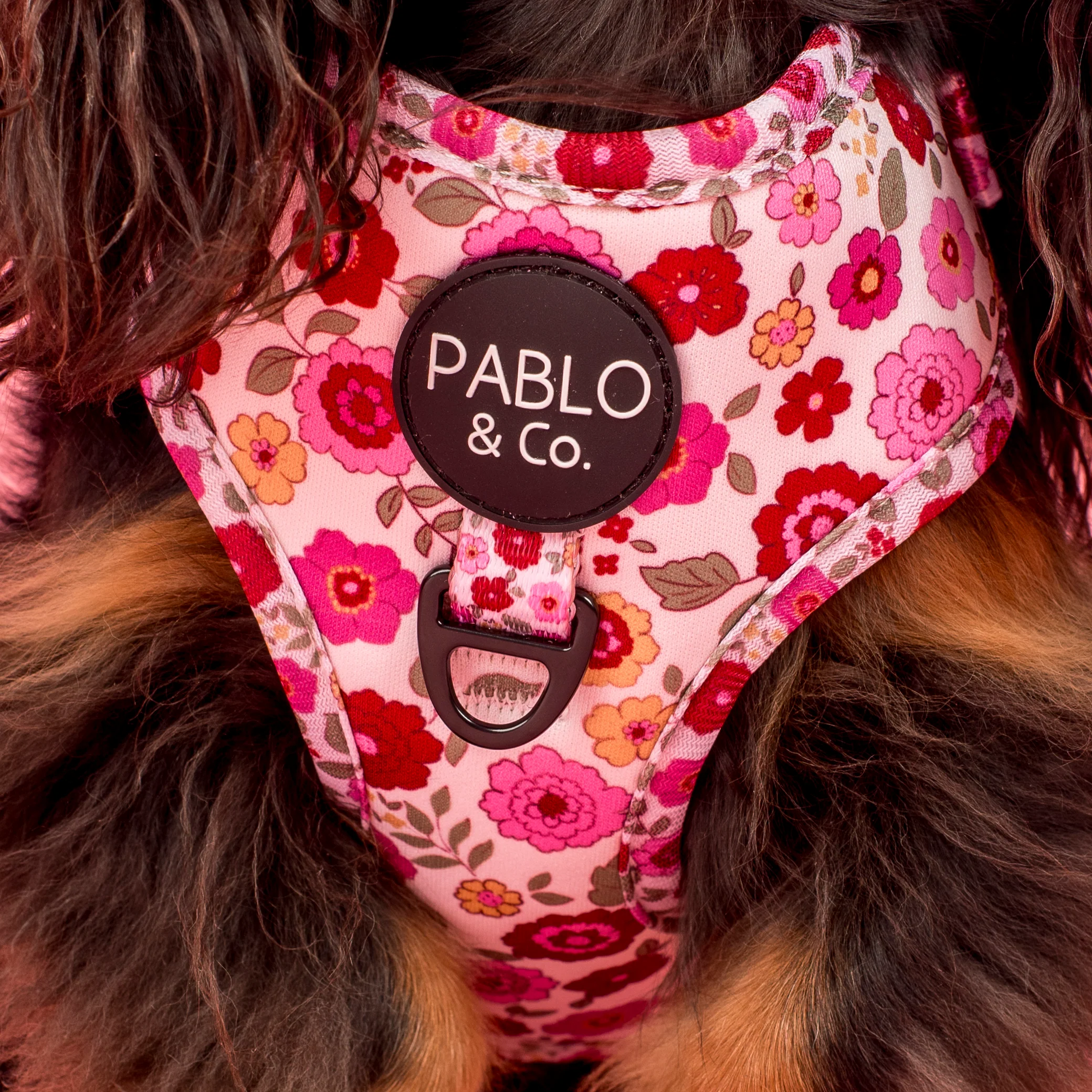 Primrose: Adjustable Harness - Image 2