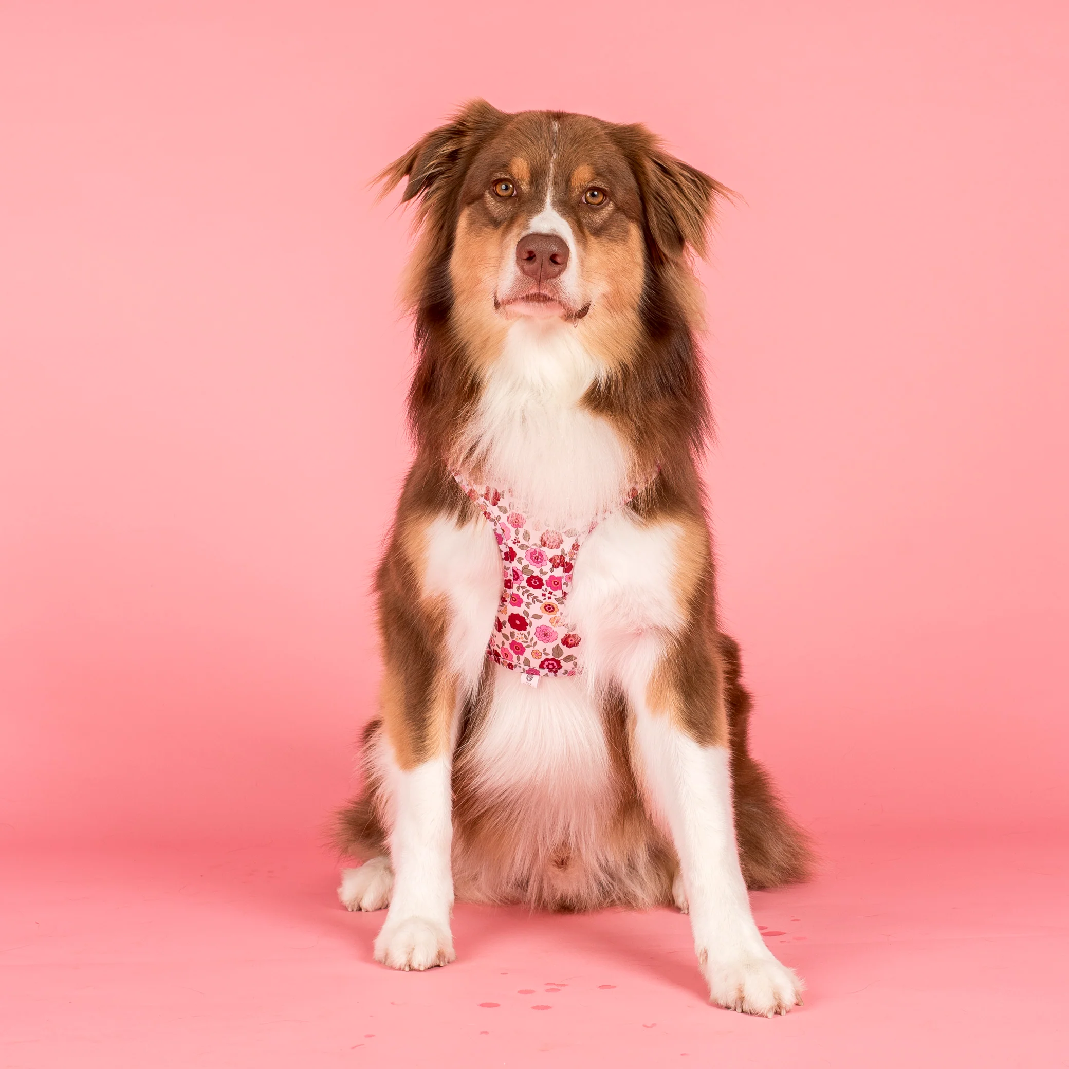 Primrose: Adjustable Harness - Image 4