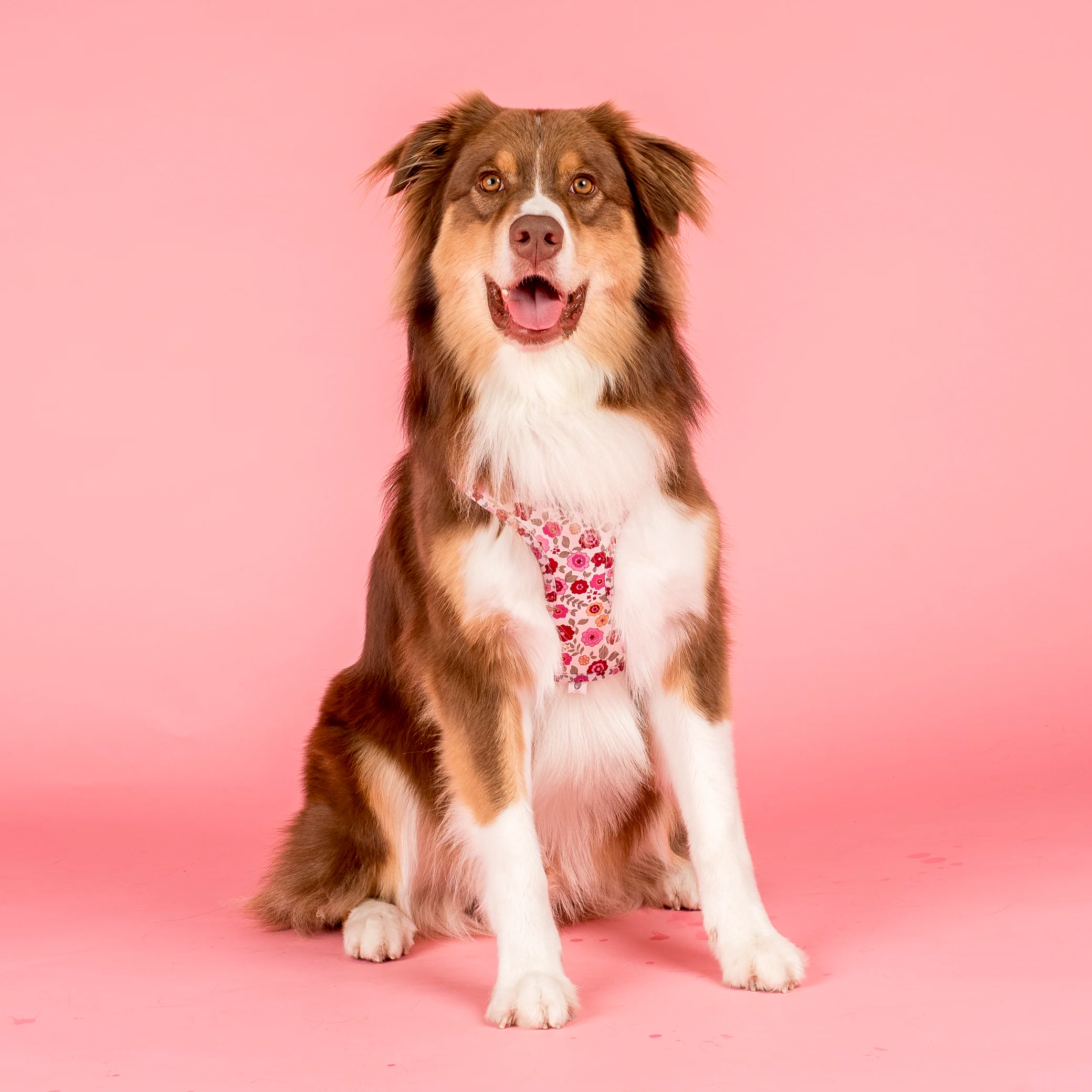 Primrose: Adjustable Harness - Image 7