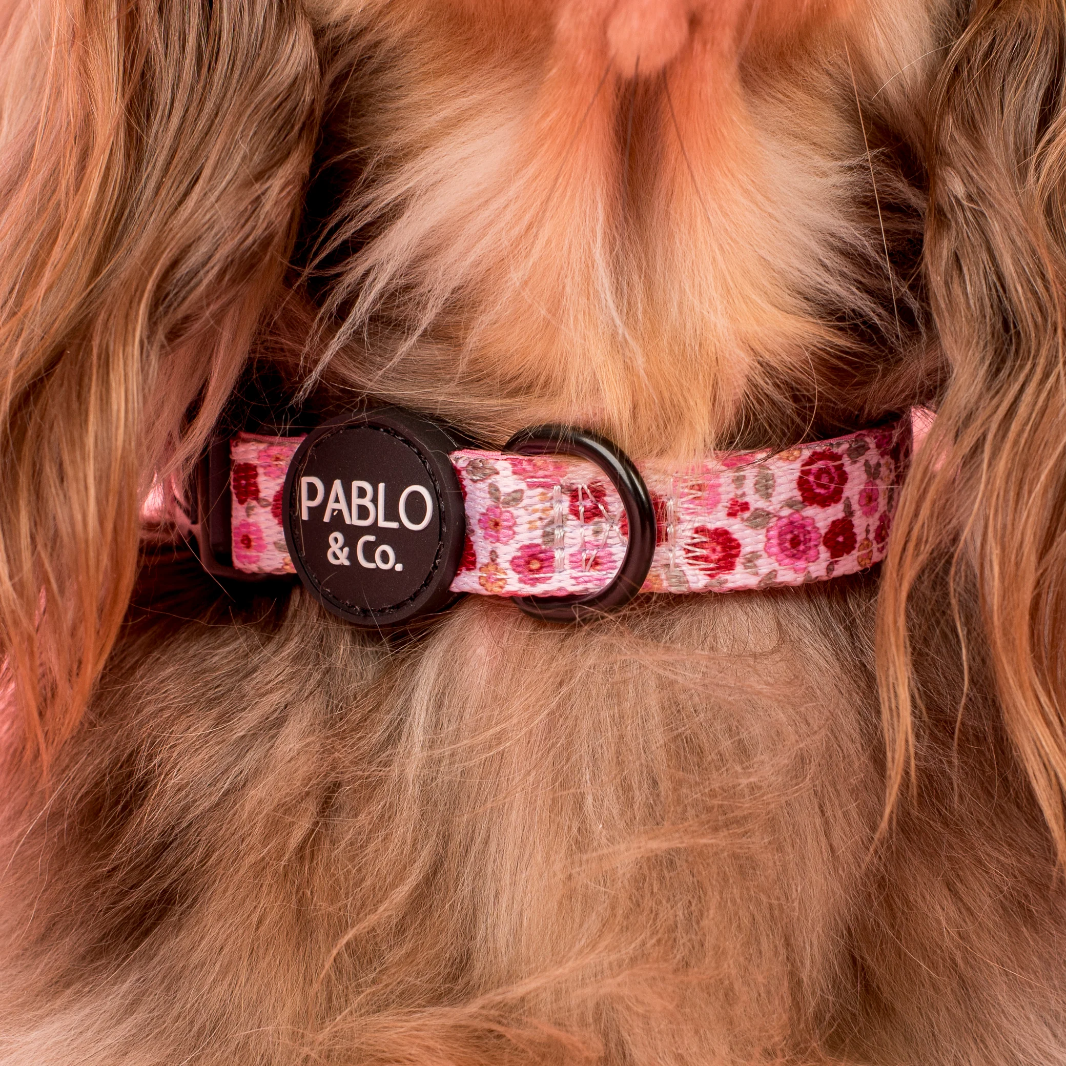 Primrose: Collar - Image 2
