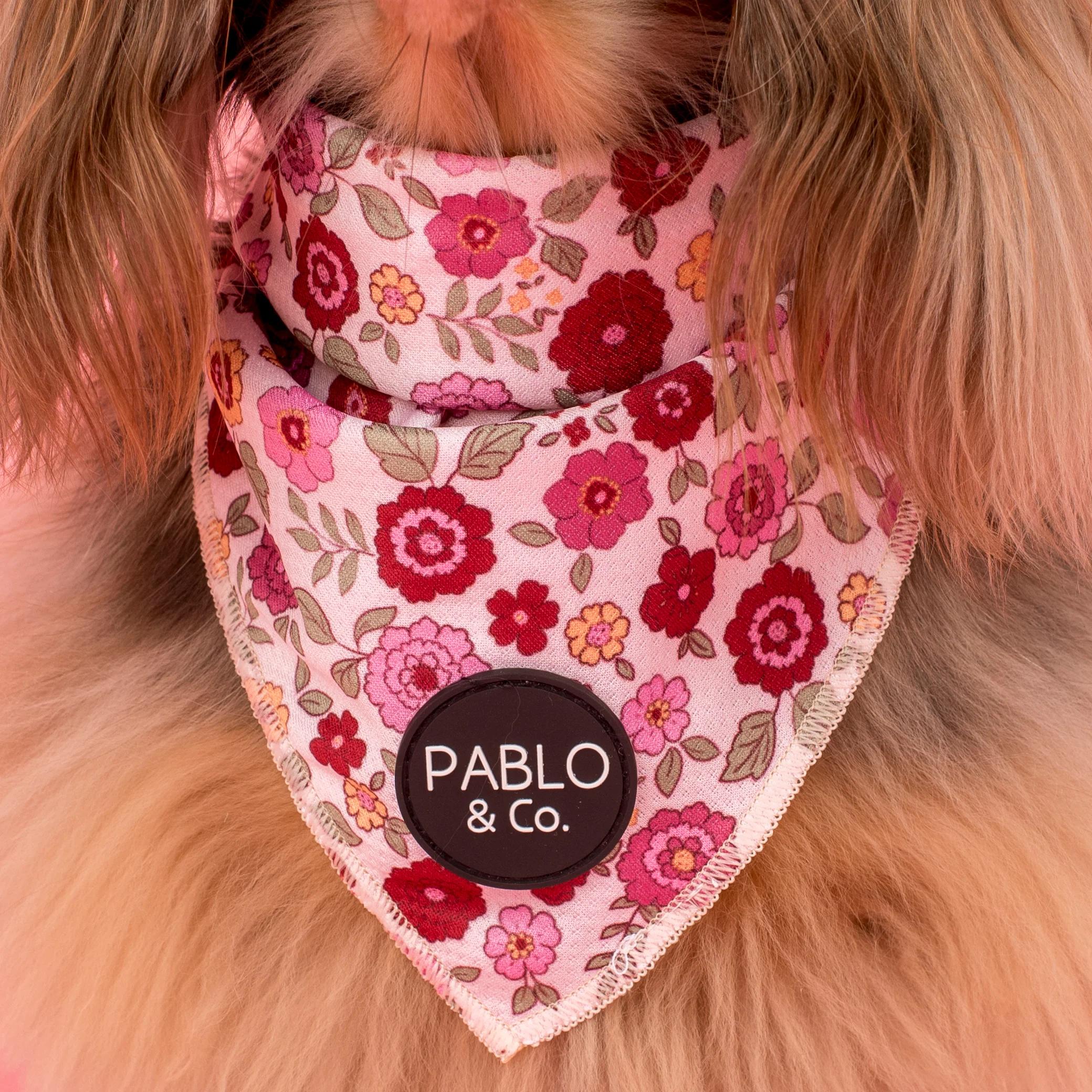 Primrose: Dog Bandana - Image 2