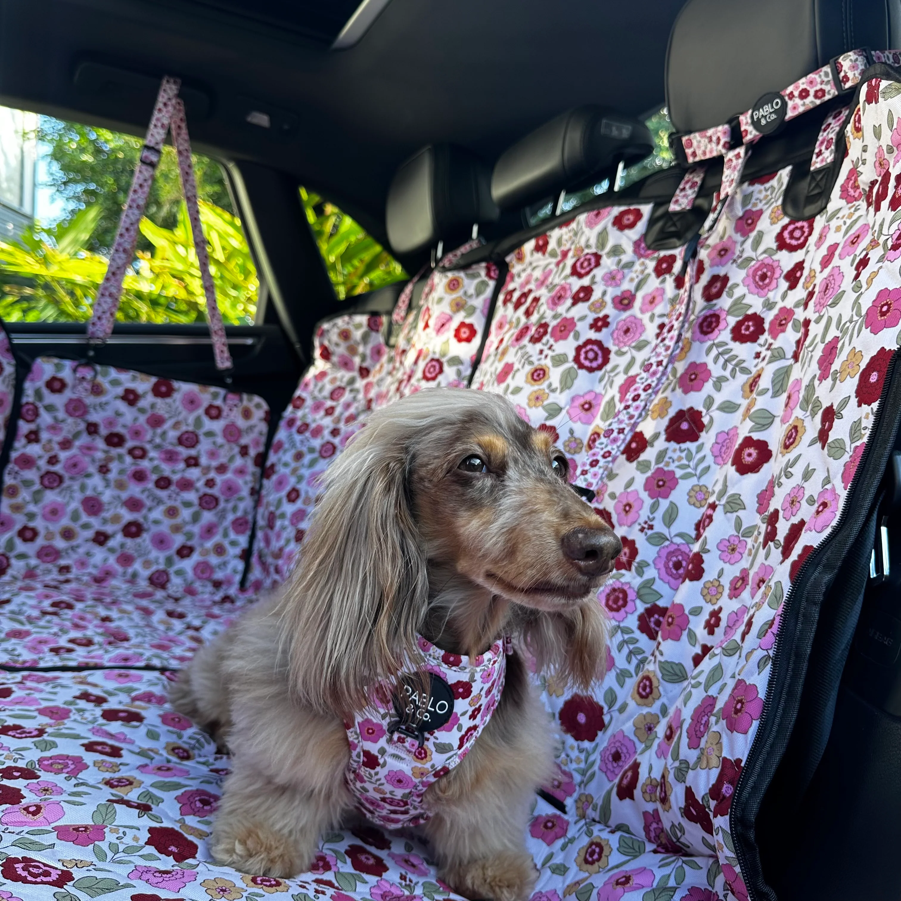 Primrose: Headrest Car Restraint - Image 3