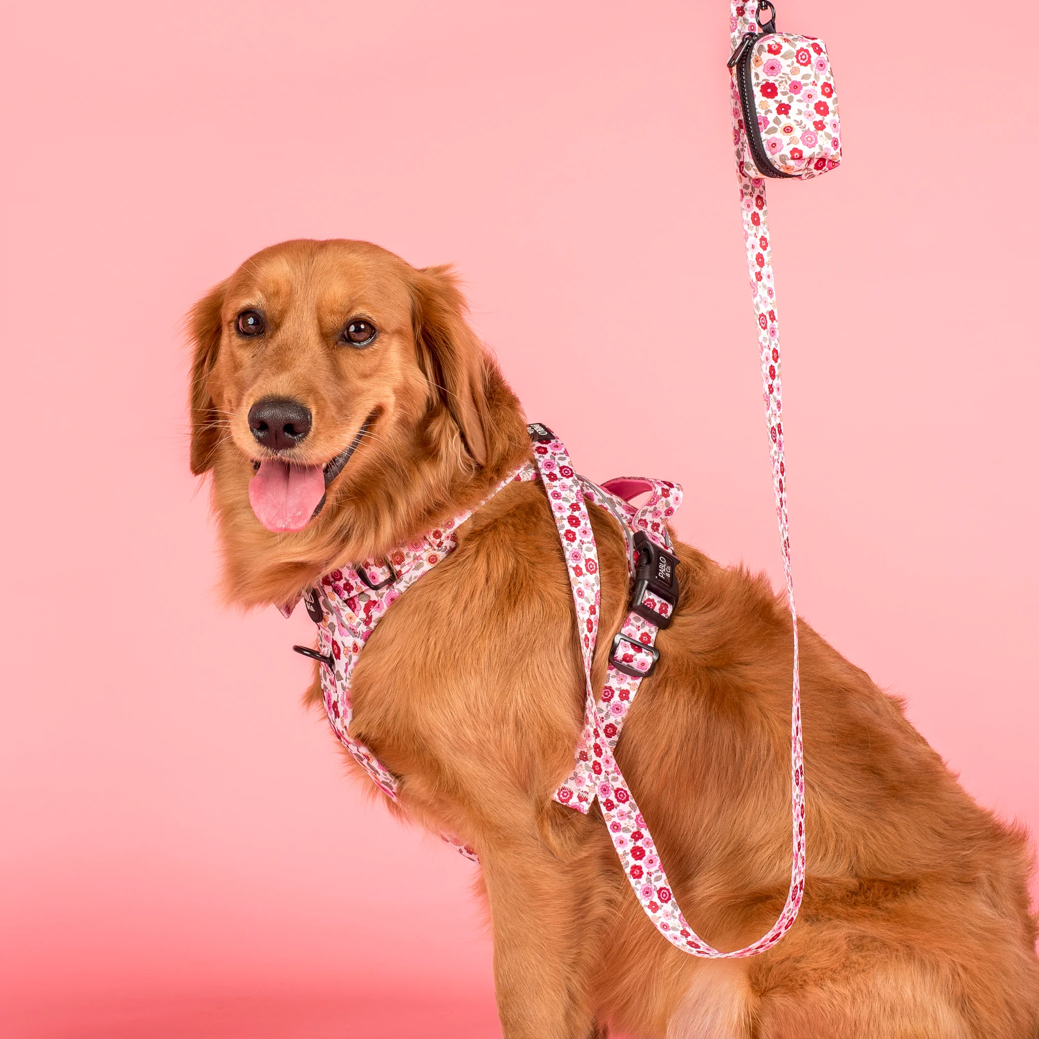 Primrose: No Pull Adventure Harness - Image 6