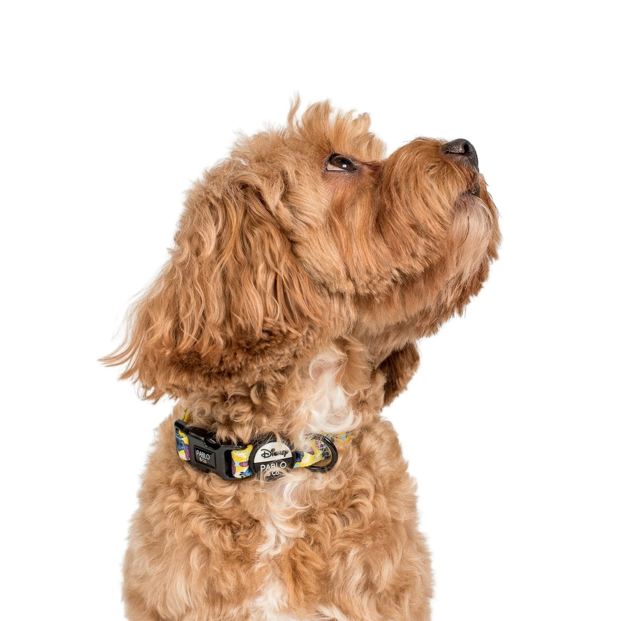 Psychedelic Stitch: Dog Collar - Image 3