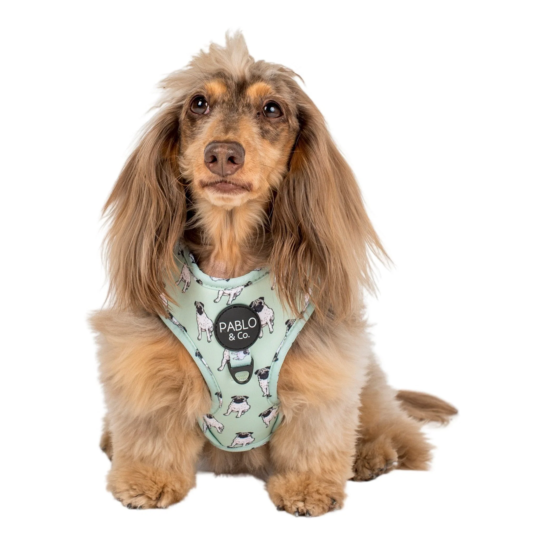Pug: Adjustable Harness - Image 3