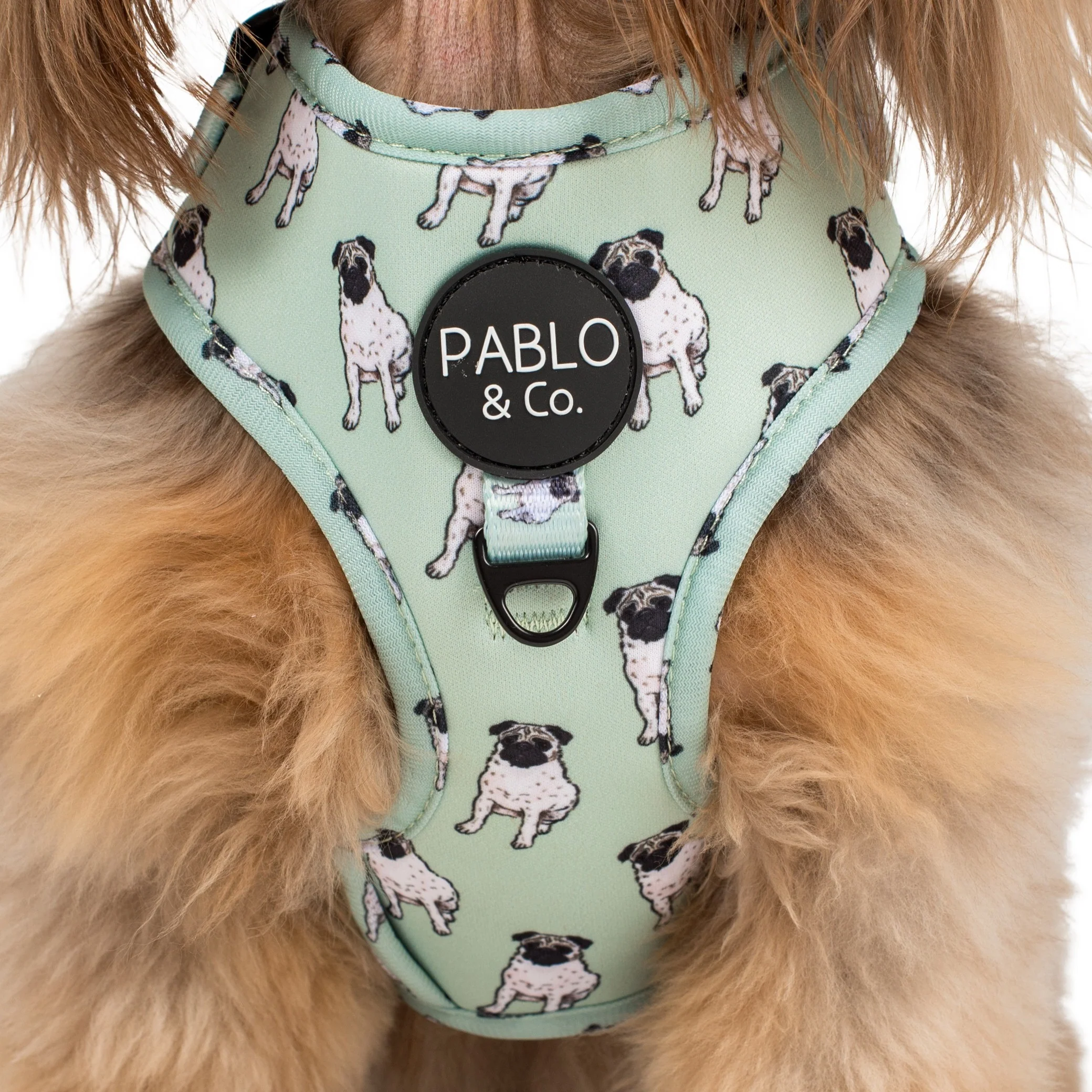 Pug: Adjustable Harness - Image 4