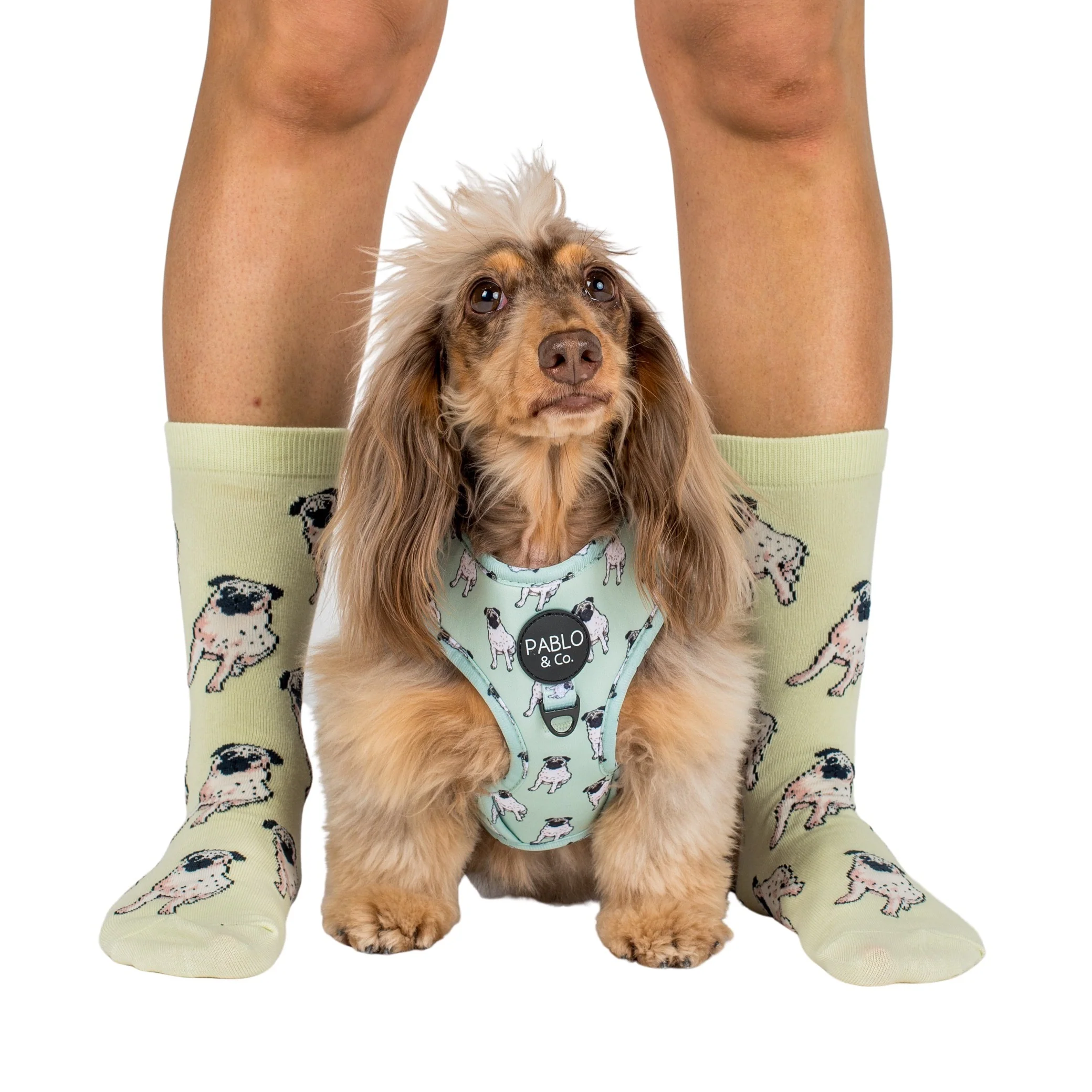 Pug: Adjustable Harness - Image 7