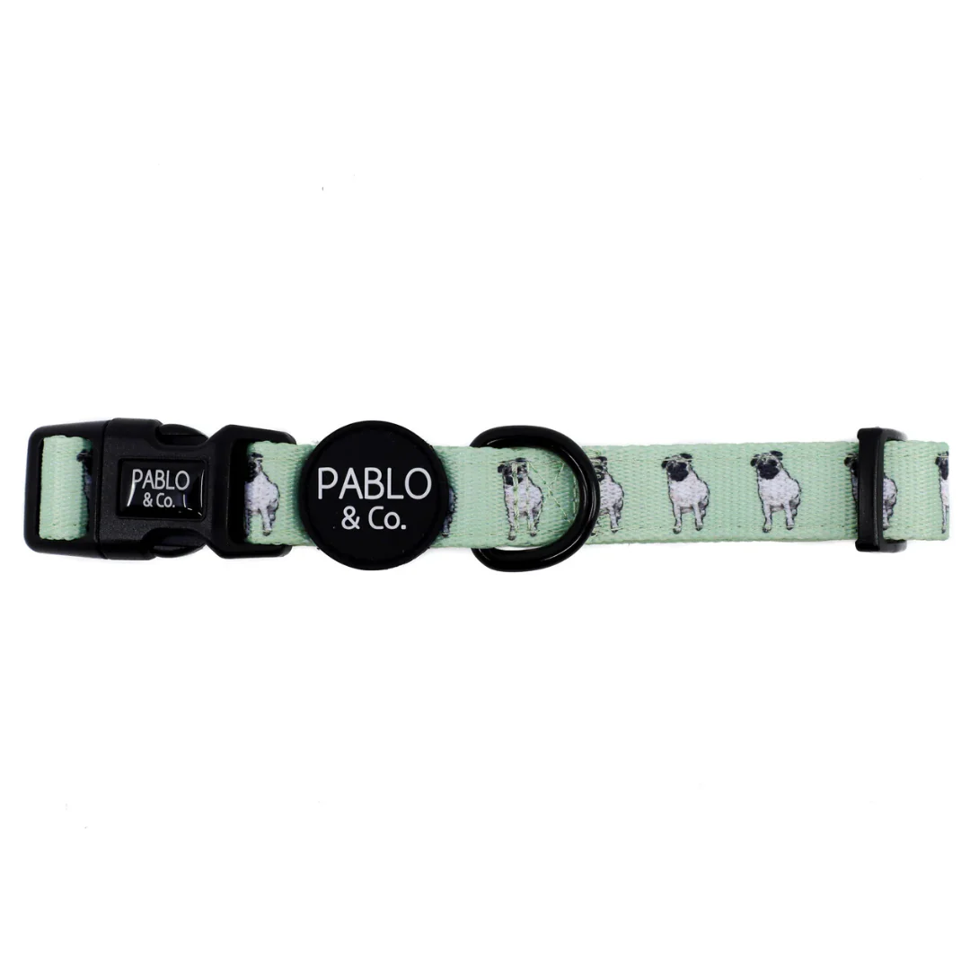 Pug: Collar