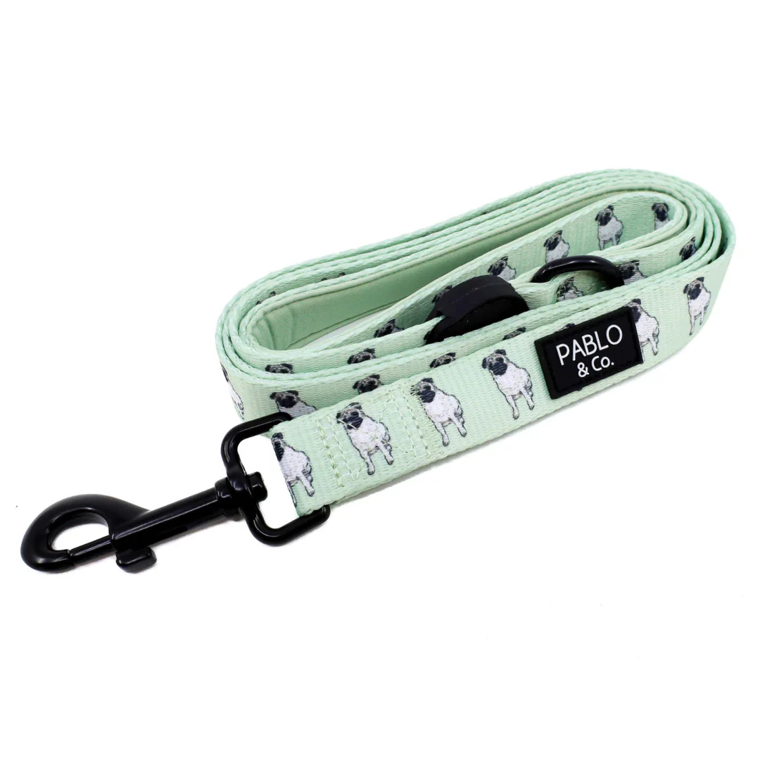 Pug: Dog Leash