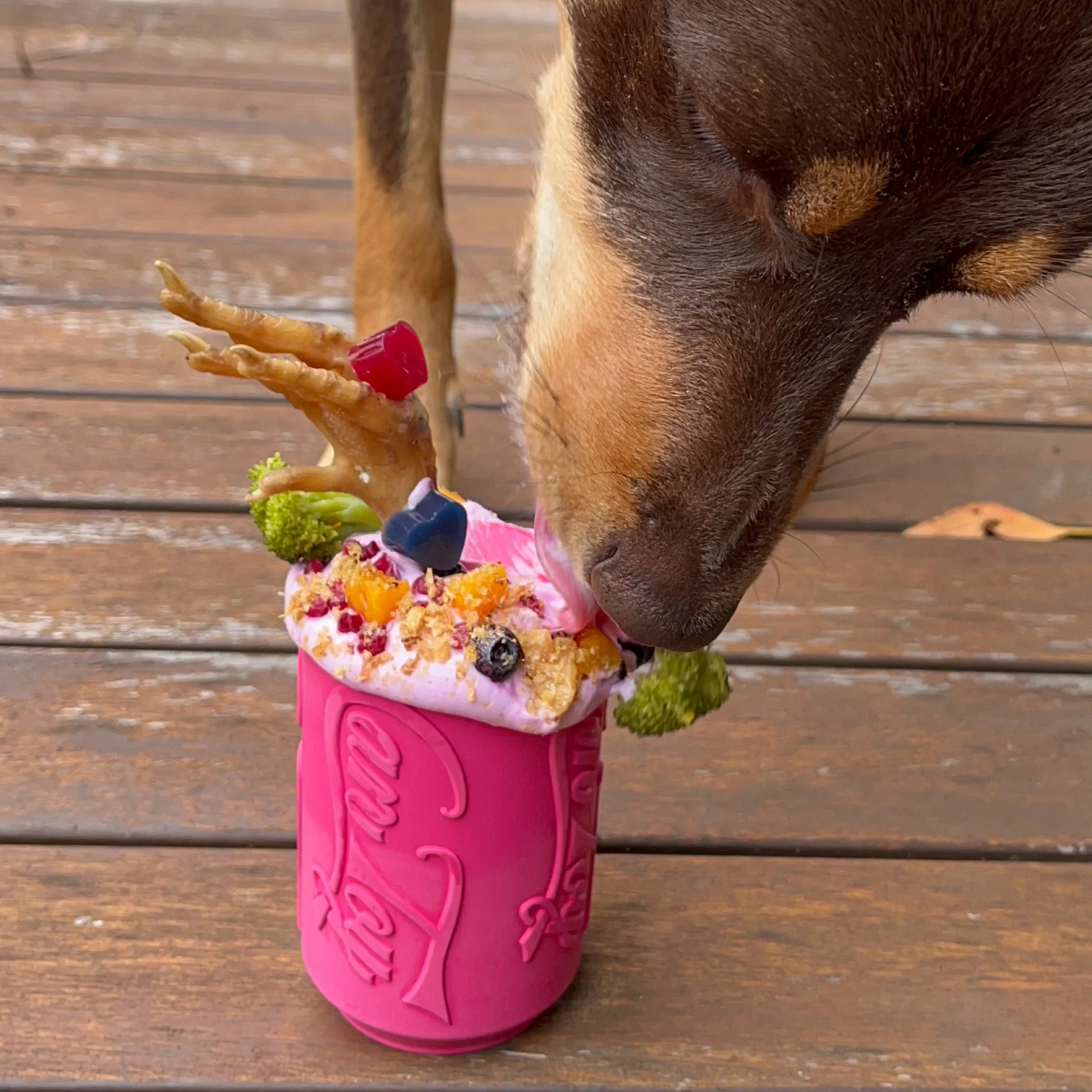 Puppy Can Toy - for soft gums and teething puppies - Image 8