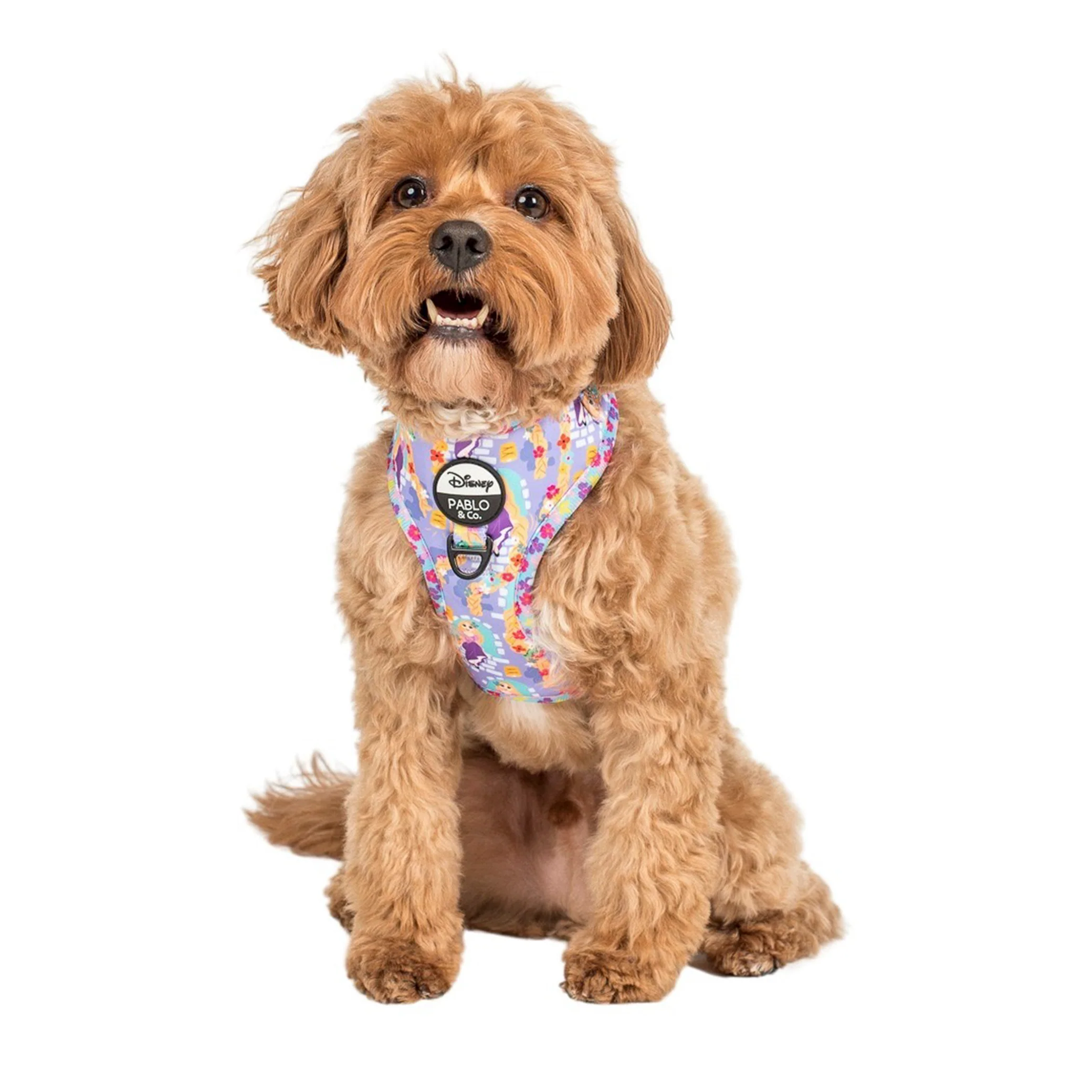 Rapunzel: Adjustable Harness - Image 2