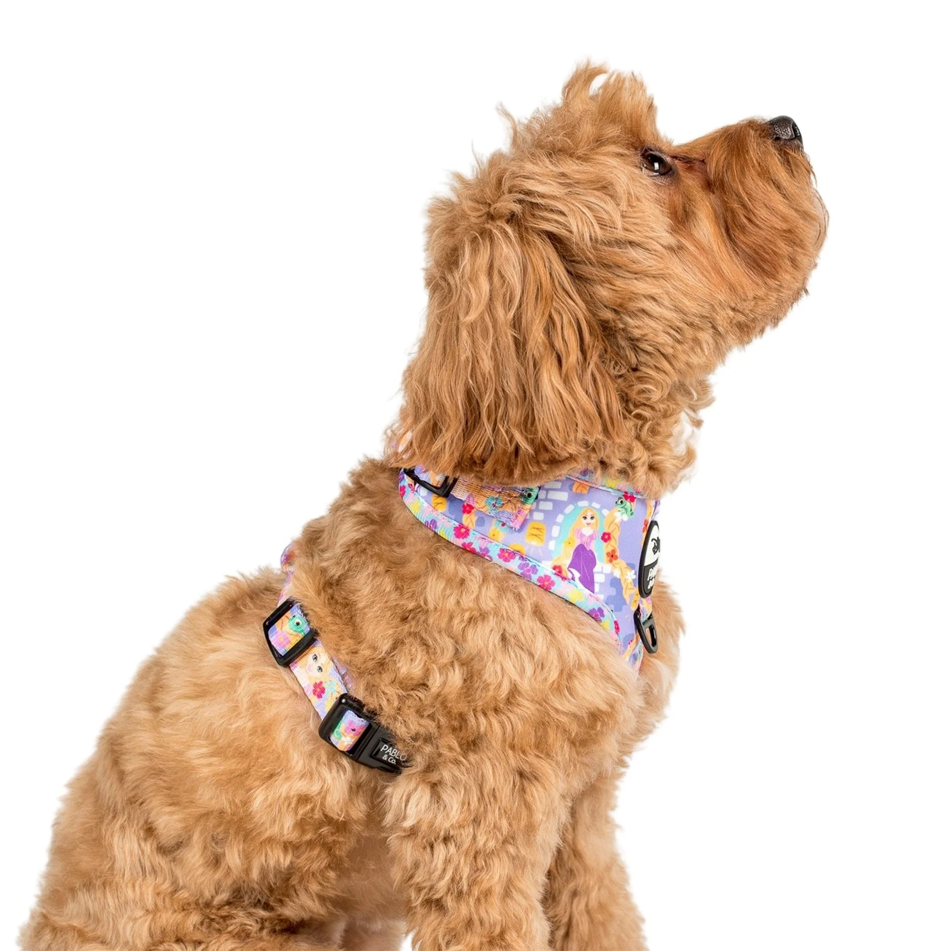Rapunzel: Adjustable Harness - Image 3