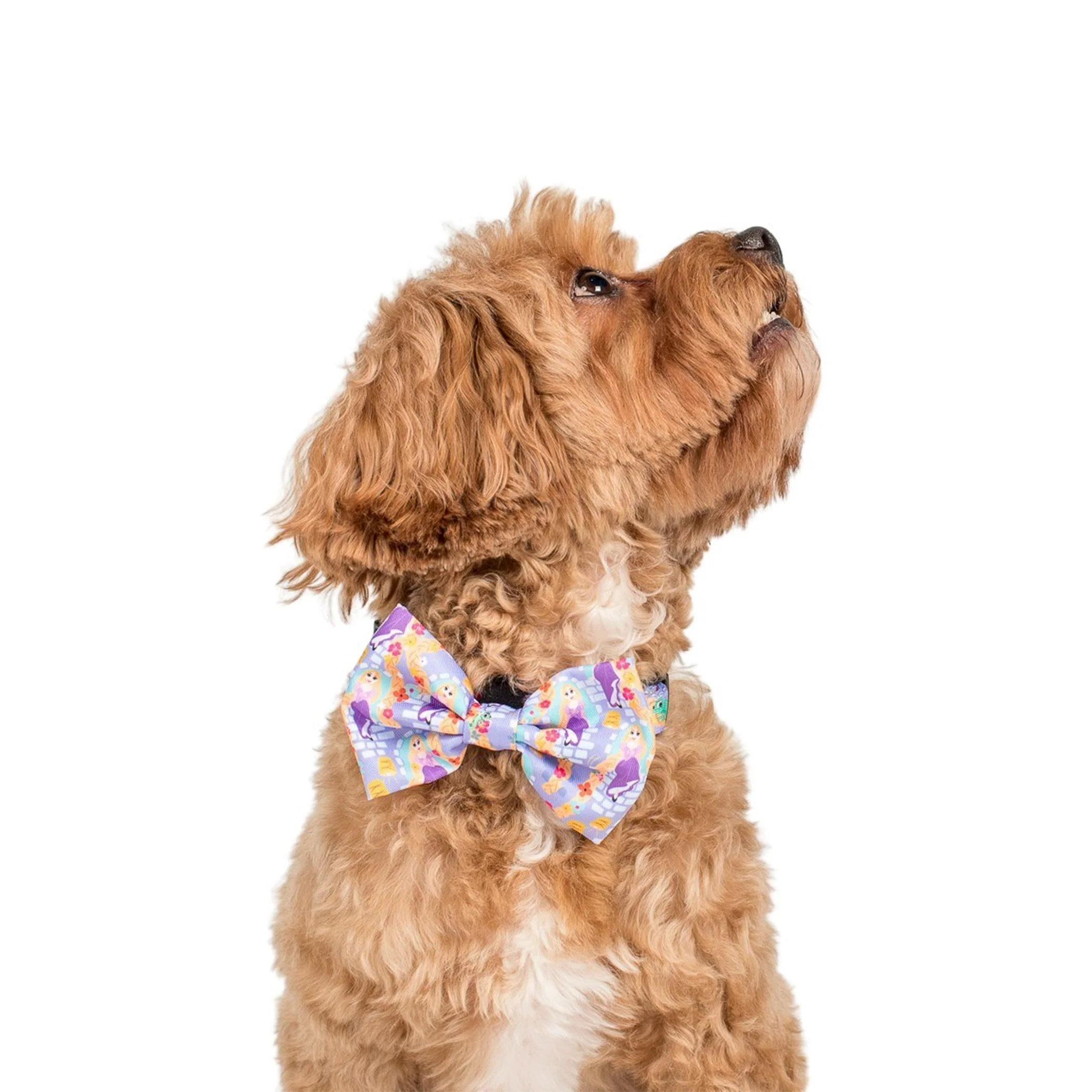 Rapunzel: Bow Tie - Image 2