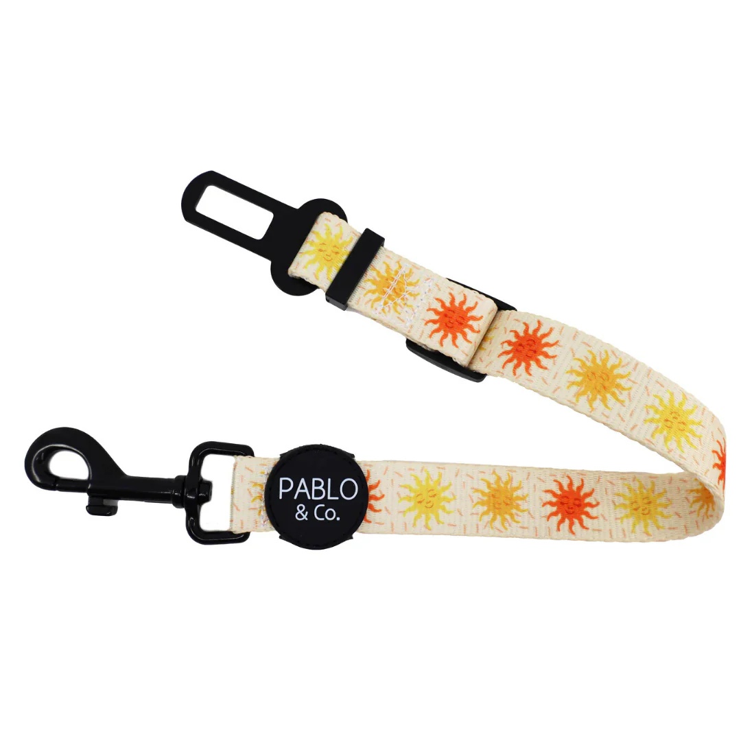 Ray of Sunshine: Adjustable Car Restraint