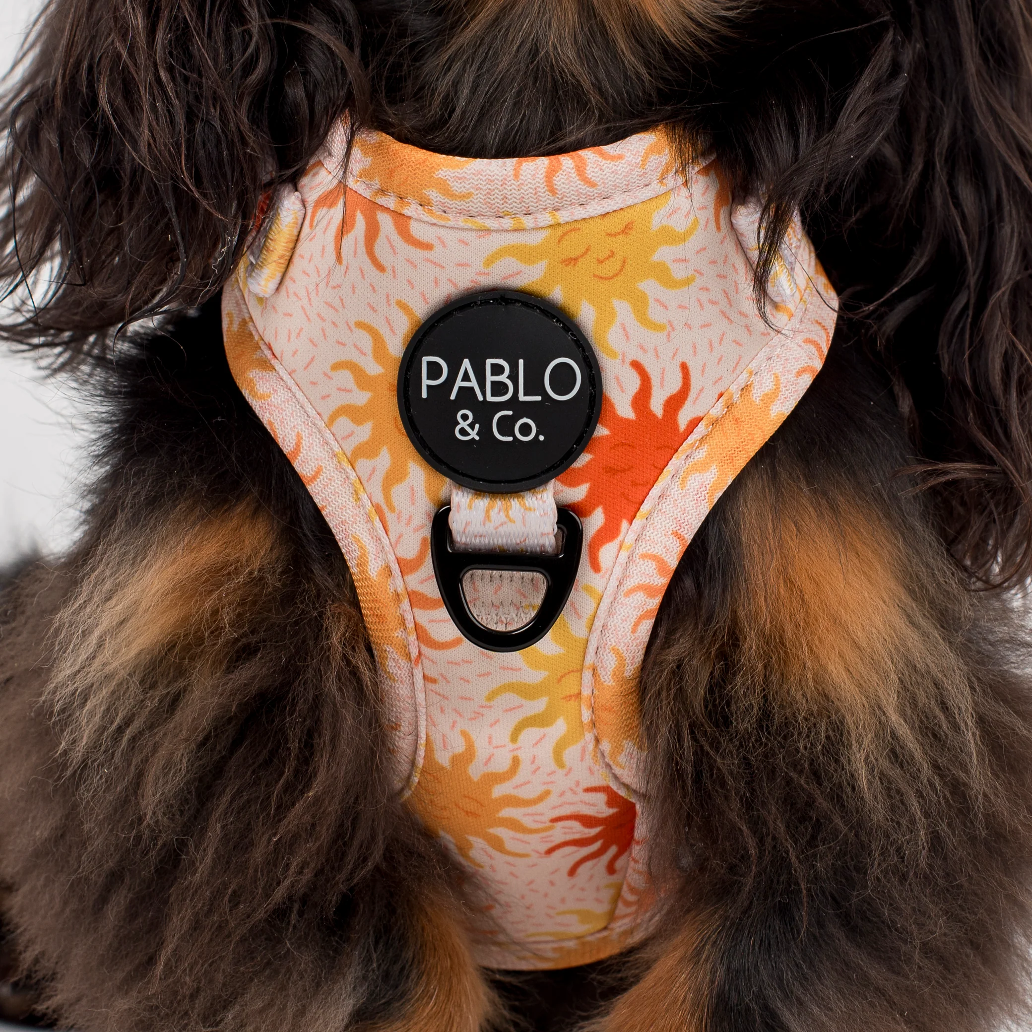 Ray of Sunshine: Adjustable Harness - Image 2