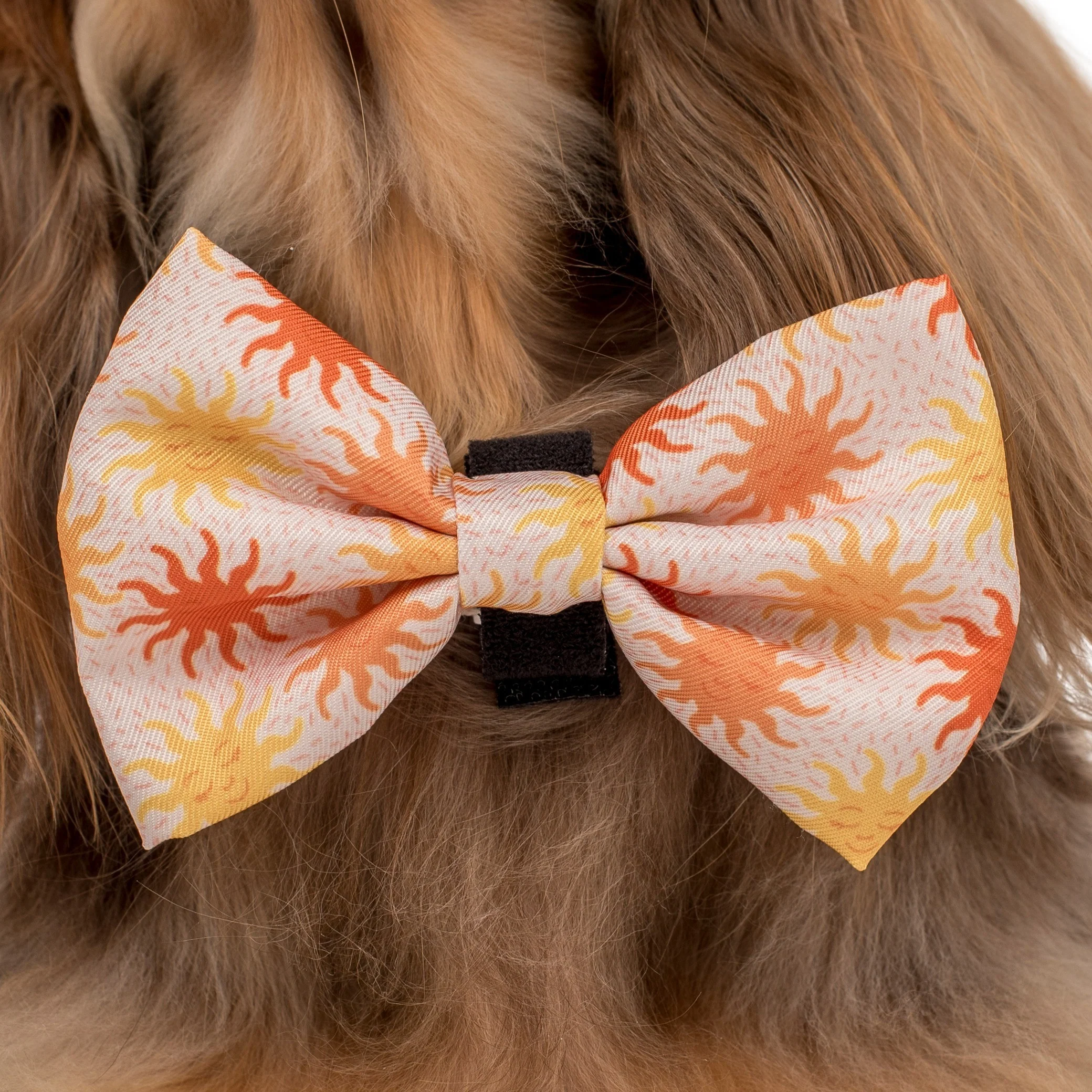 Ray of Sunshine: Bow Tie - Image 2
