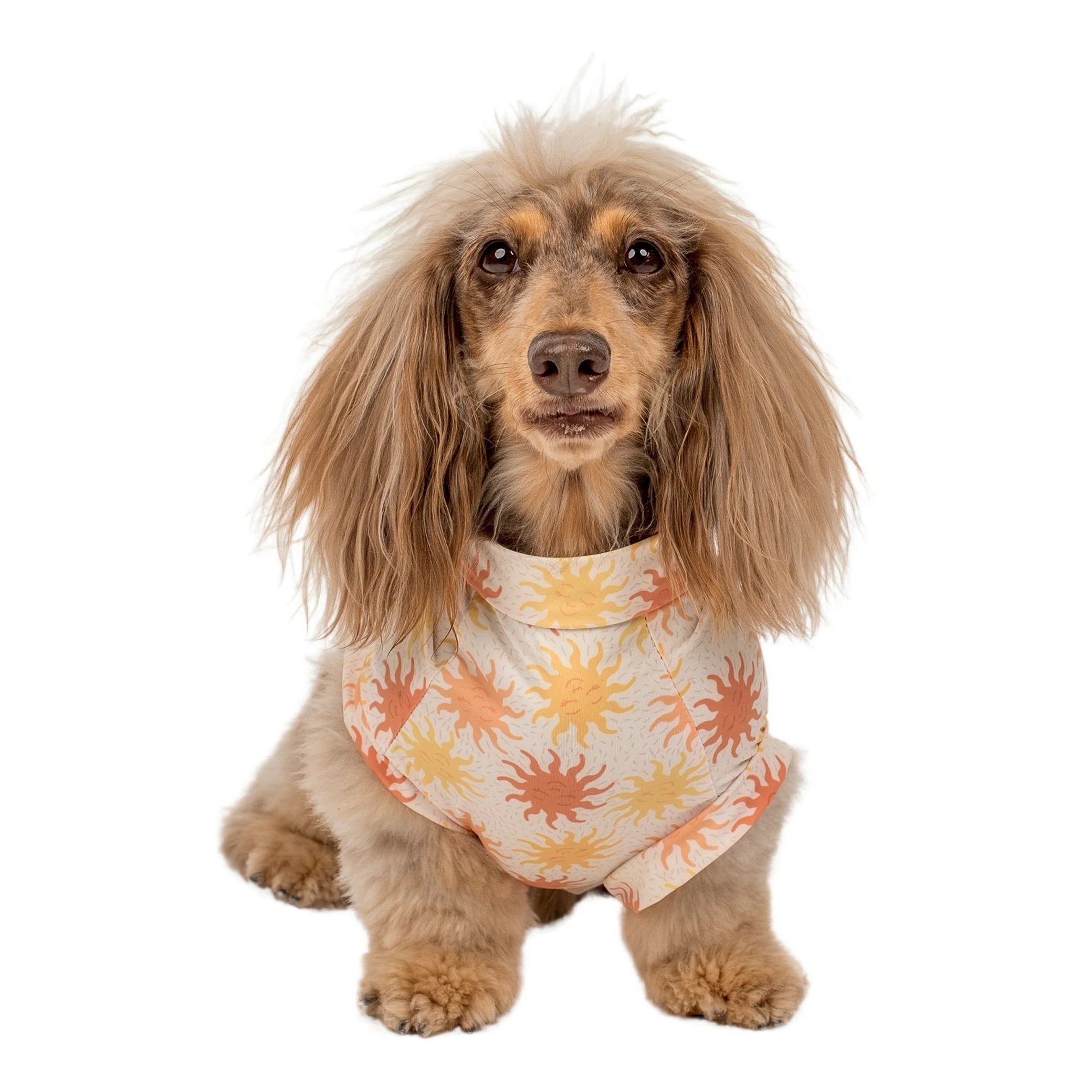 Ray of Sunshine: Cooling Dog Rashie - Image 3
