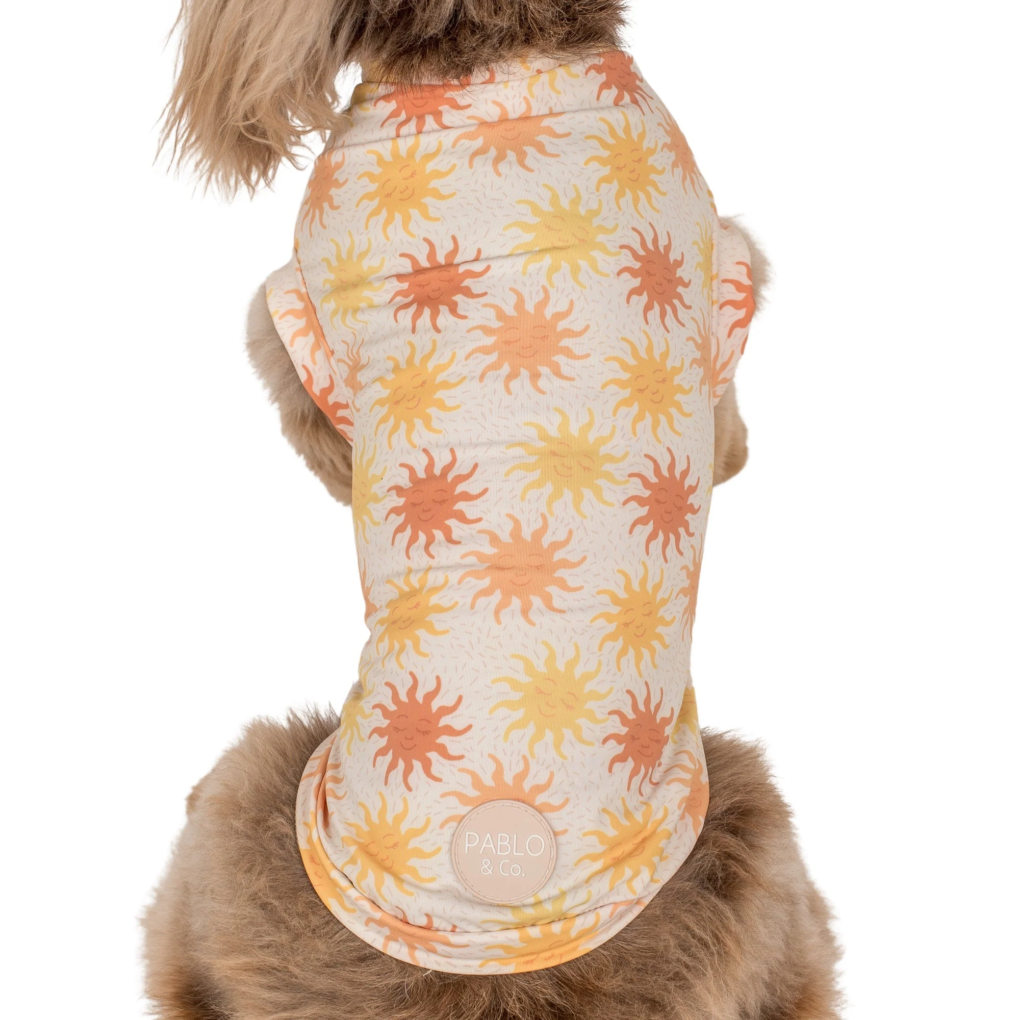 Ray of Sunshine: Cooling Dog Rashie - Image 5