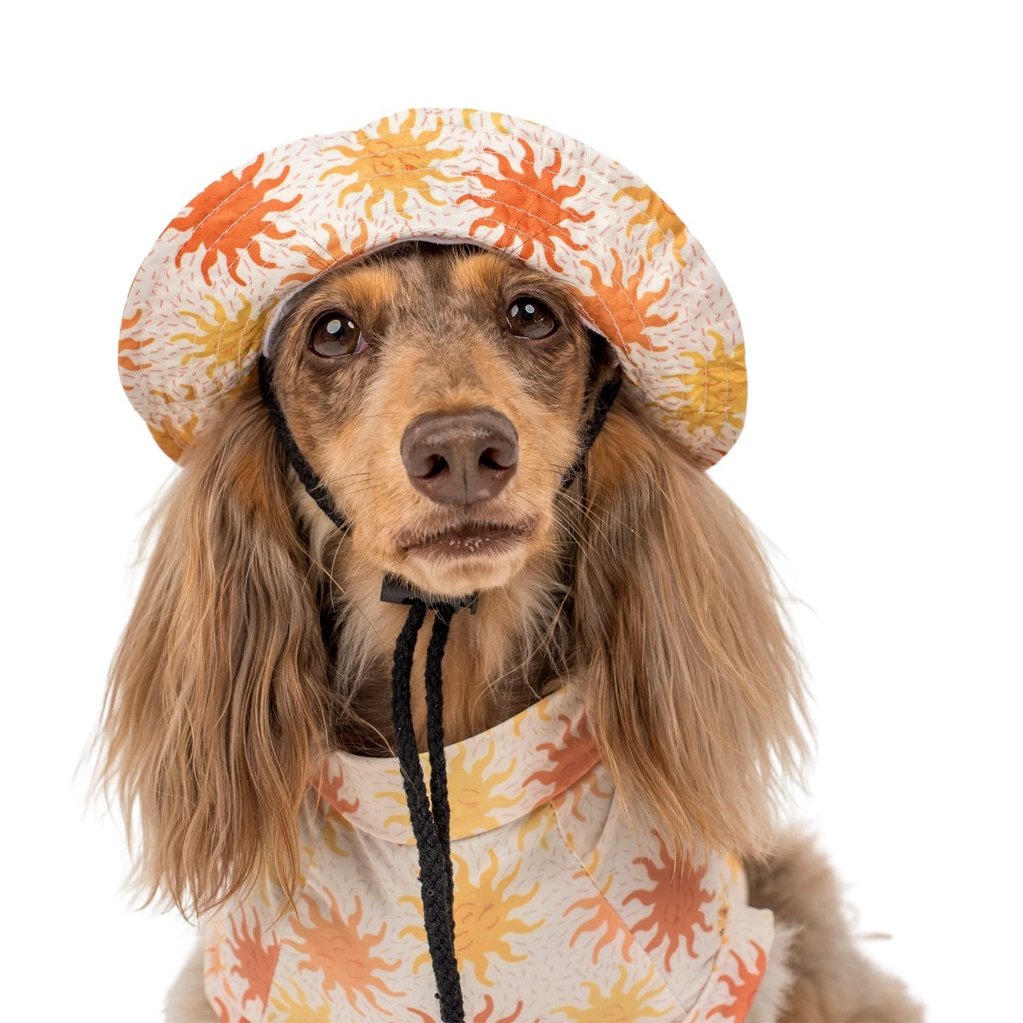 Ray of Sunshine: Cooling Dog Rashie - Image 6