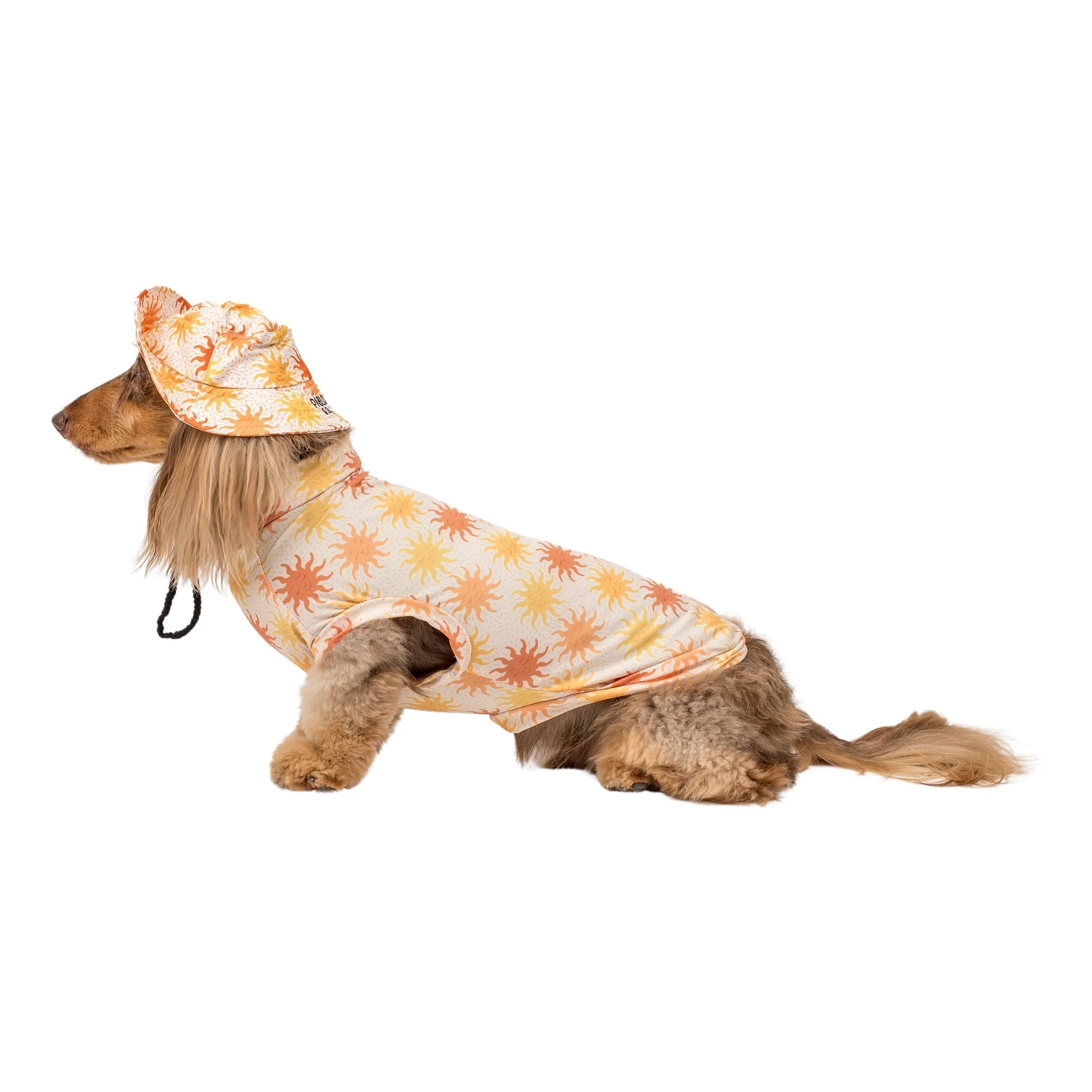 Ray of Sunshine: Cooling Dog Rashie - Image 7