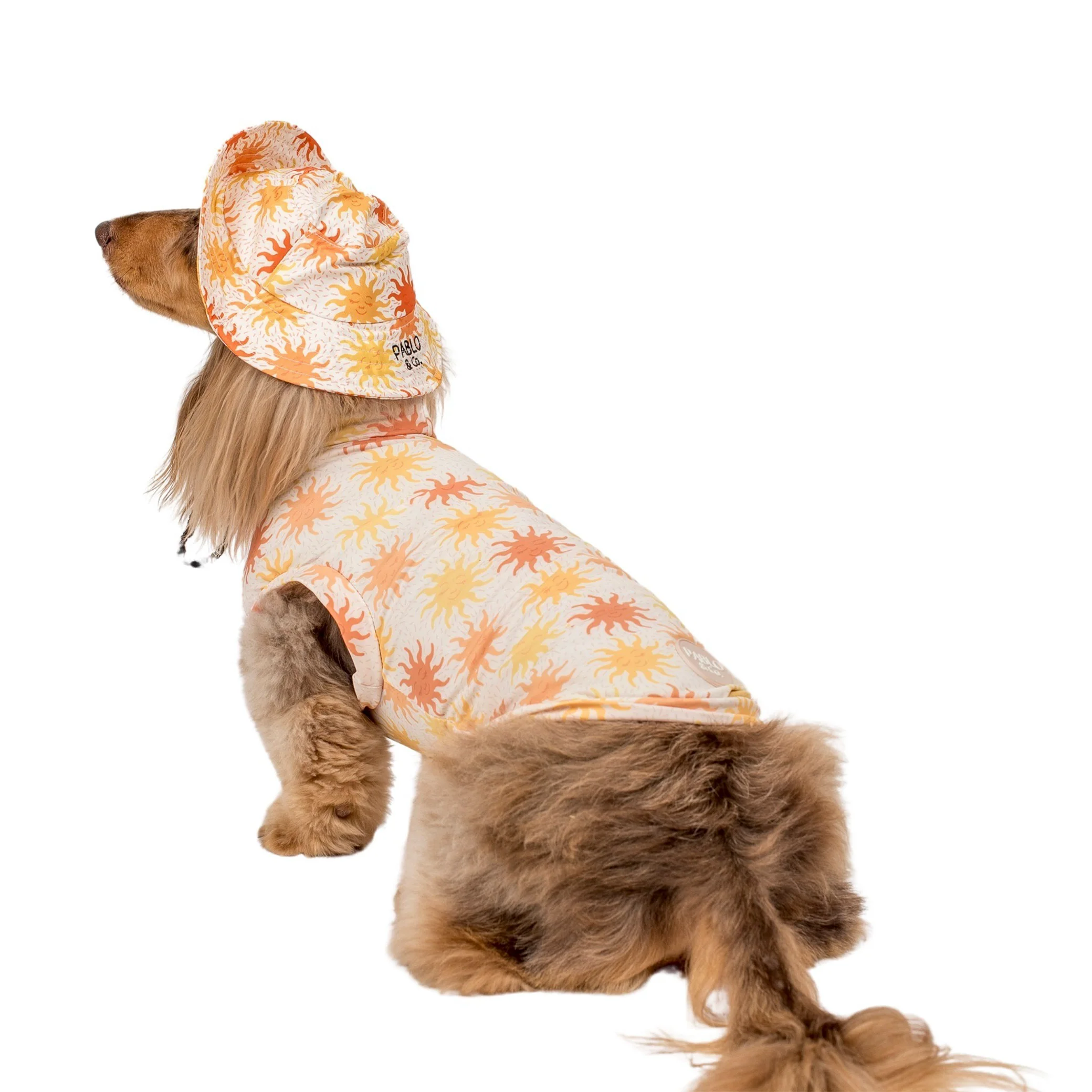 Ray of Sunshine: Cooling Dog Rashie - Image 8