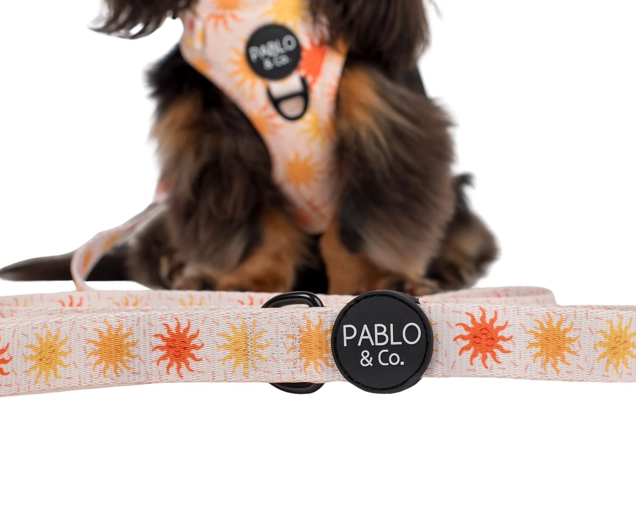 Ray of Sunshine: Dog Leash - Image 2