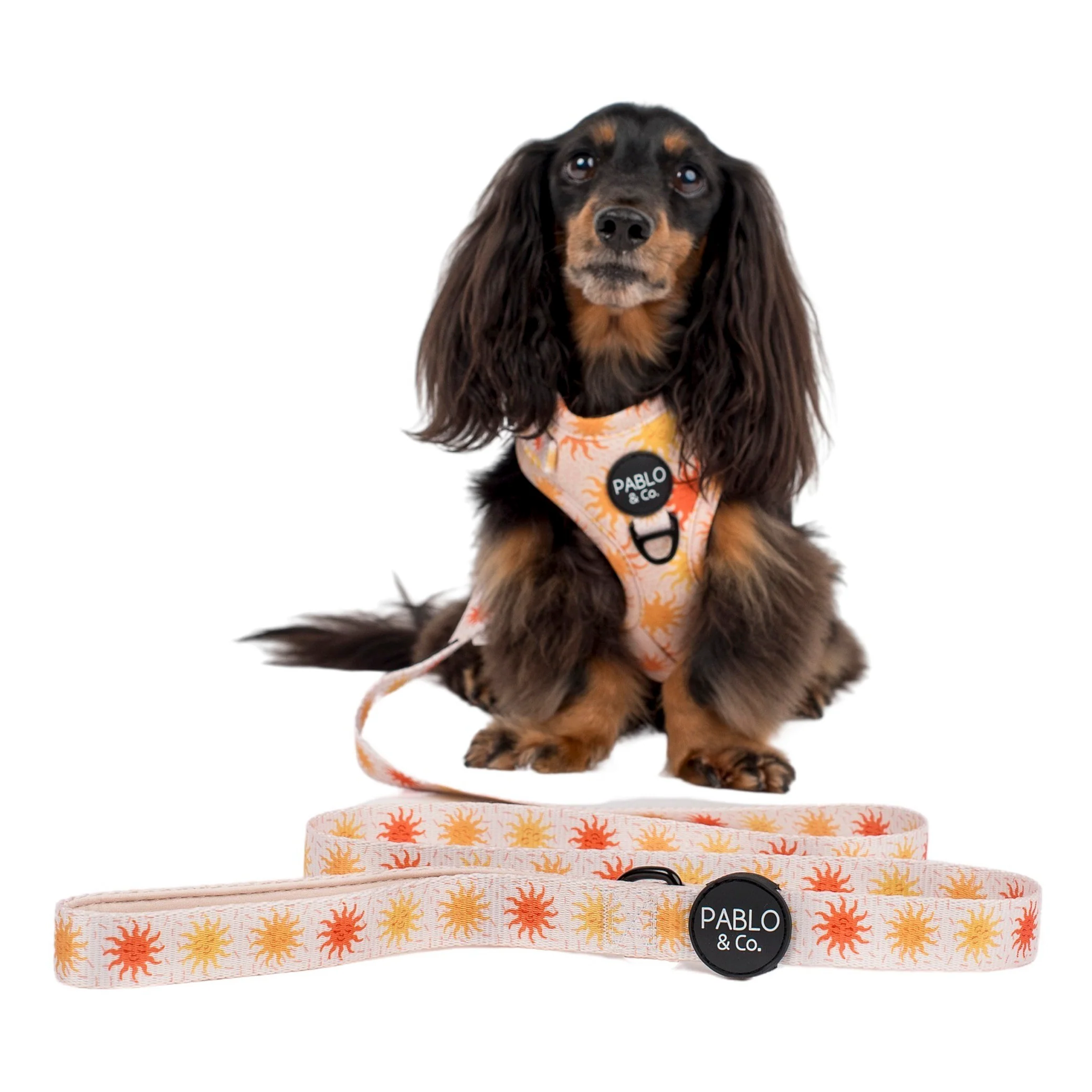 Ray of Sunshine: Dog Leash - Image 3
