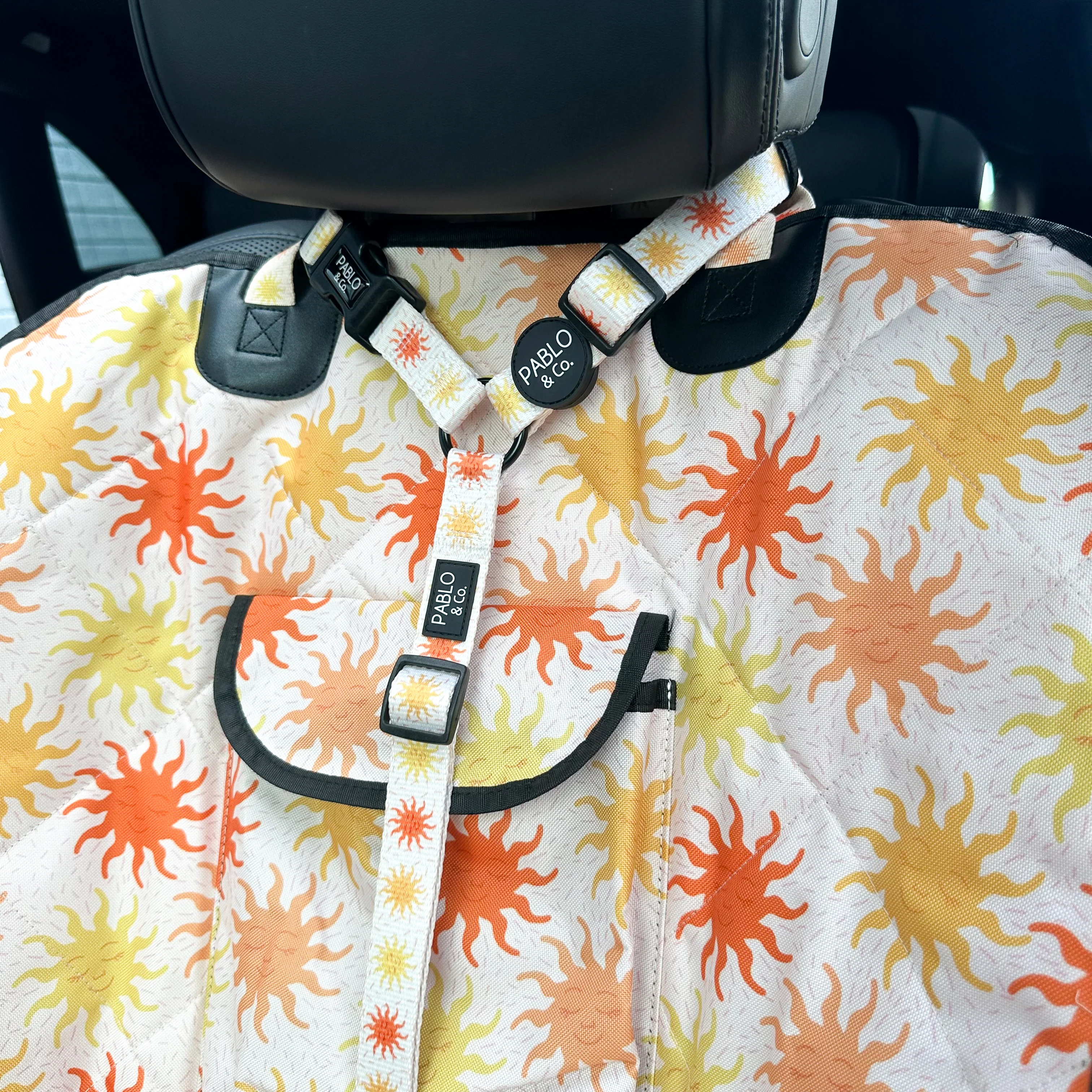 Ray of Sunshine: Headrest Car Restraint - Image 2