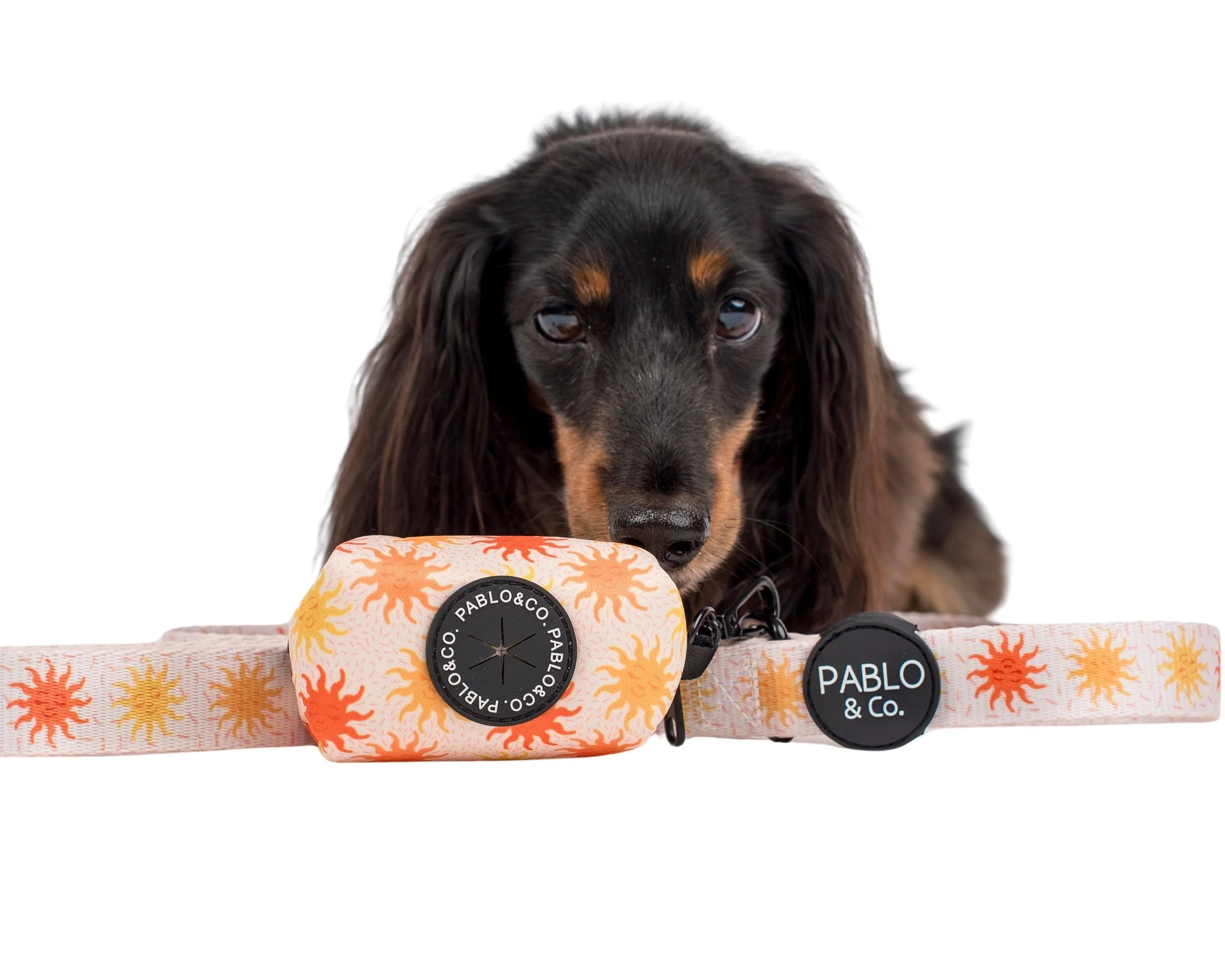 Ray of Sunshine - Poop Bag Holder - Image 3