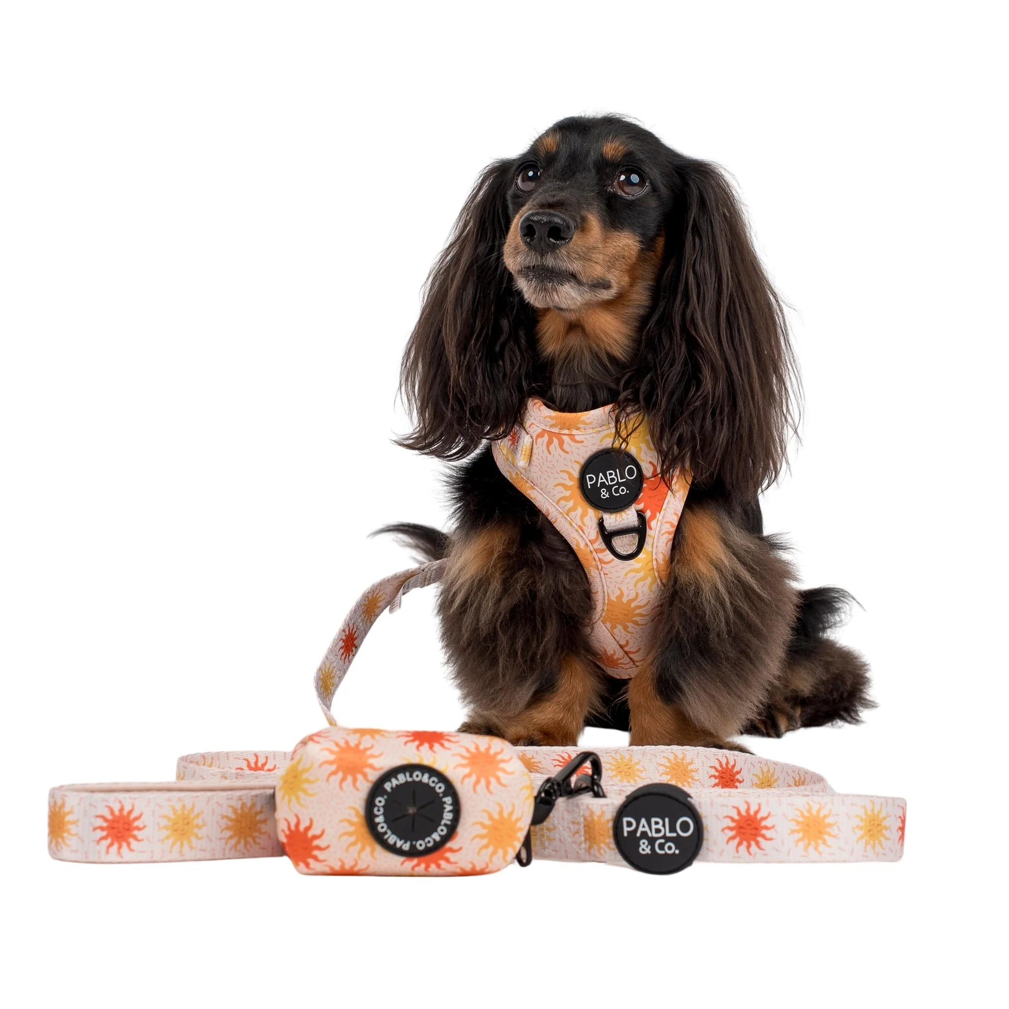 Ray of Sunshine - Poop Bag Holder - Image 4