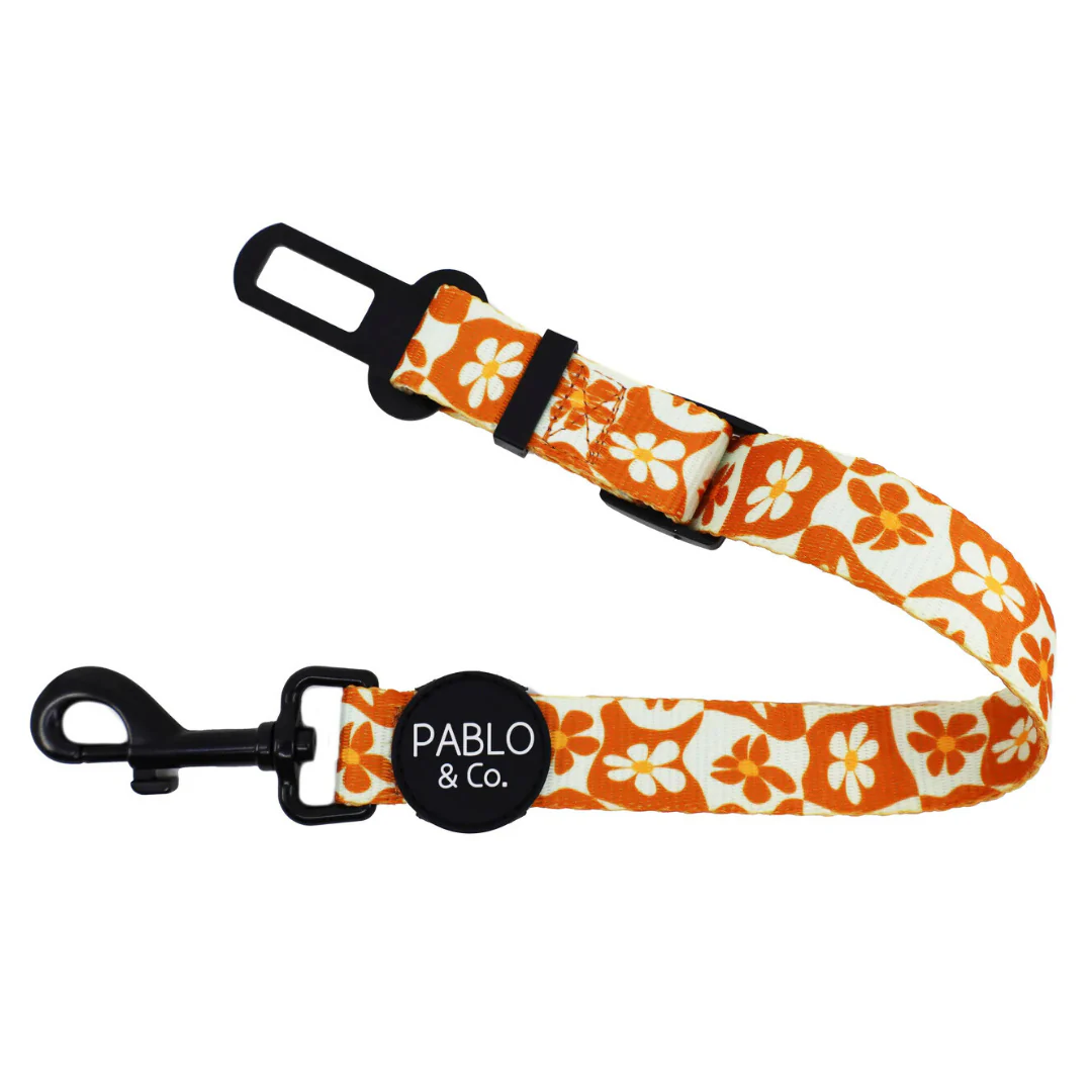 Retro Dazie: Adjustable Car Restraint