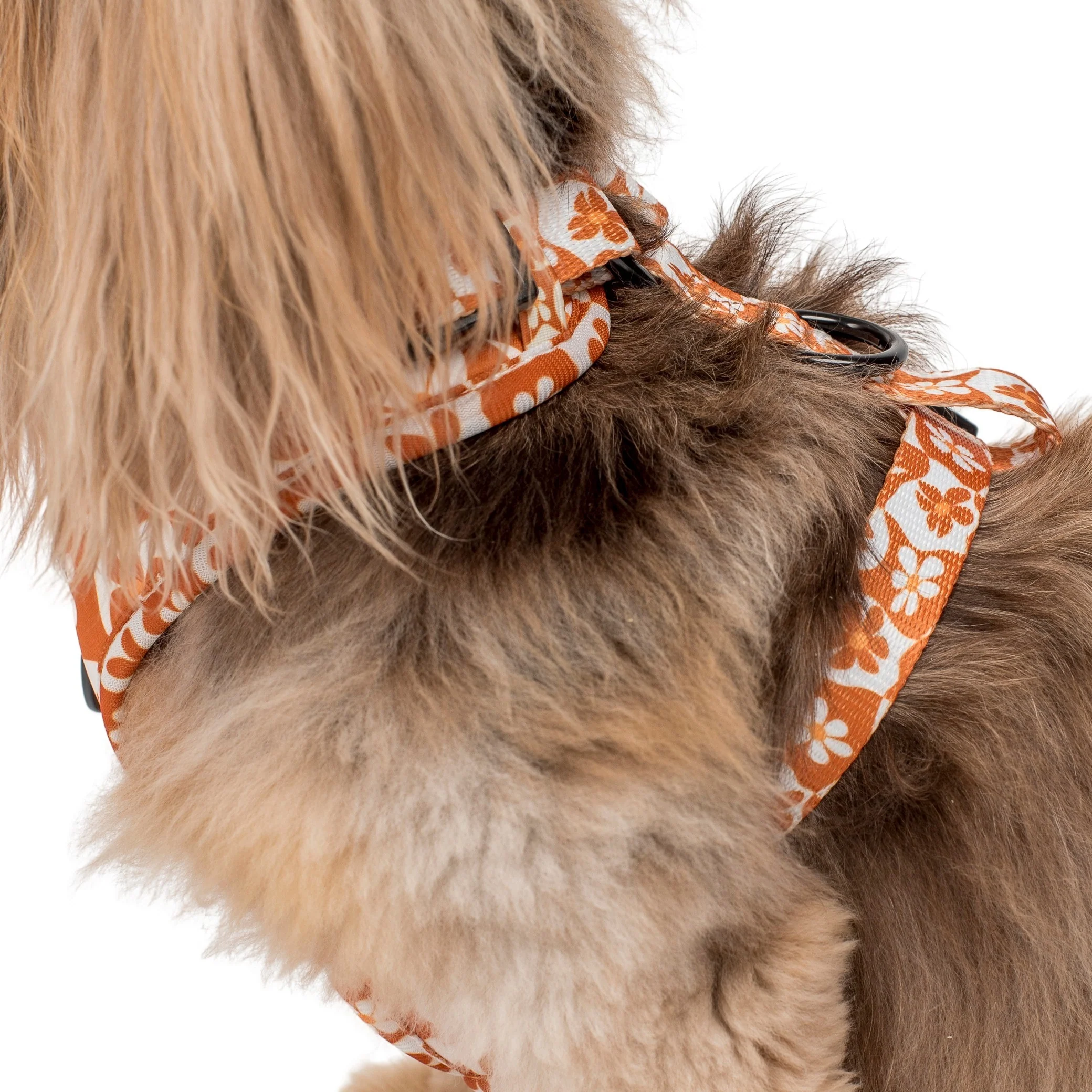 Retro Dazie: Adjustable Harness - Image 10
