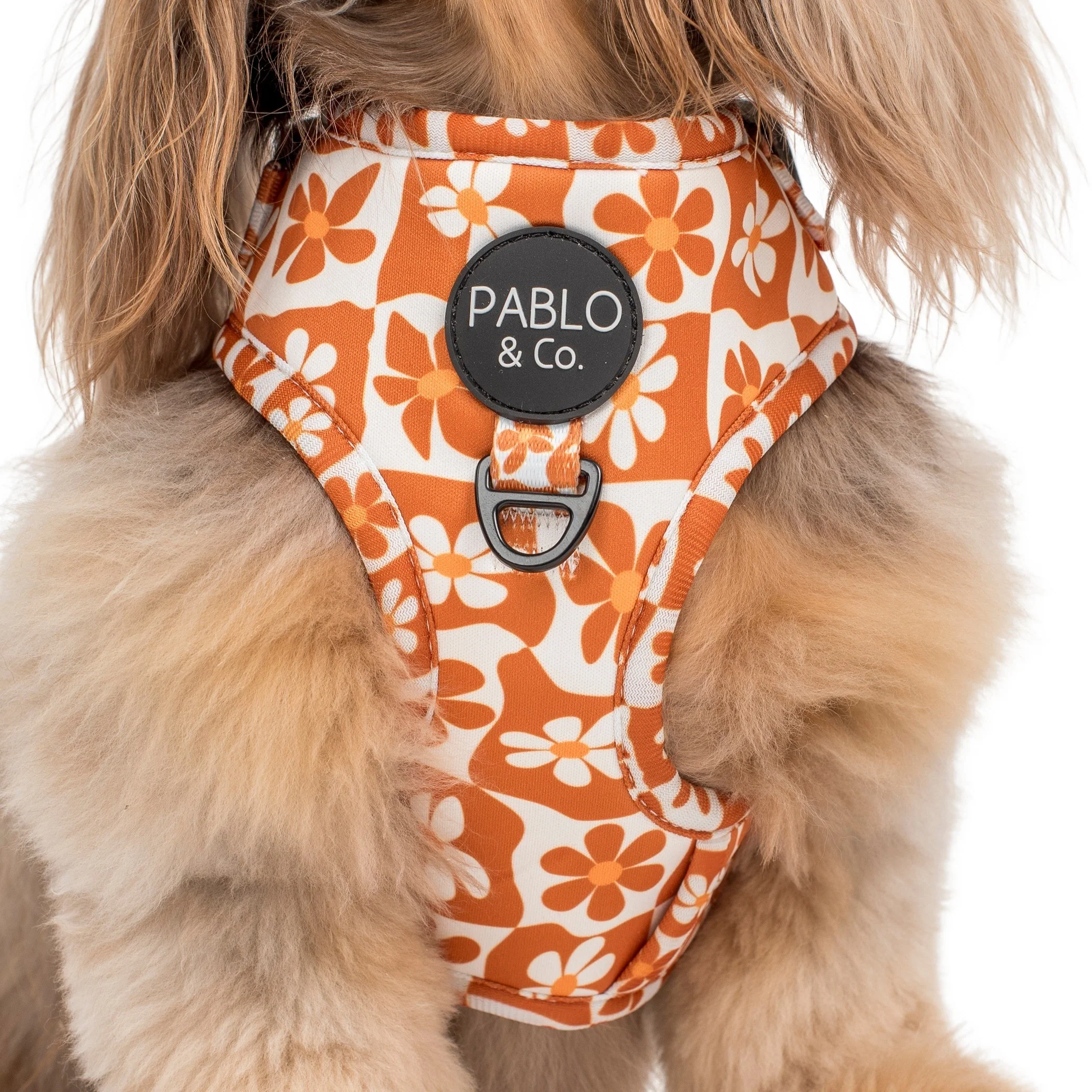 Retro Dazie: Adjustable Harness - Image 2