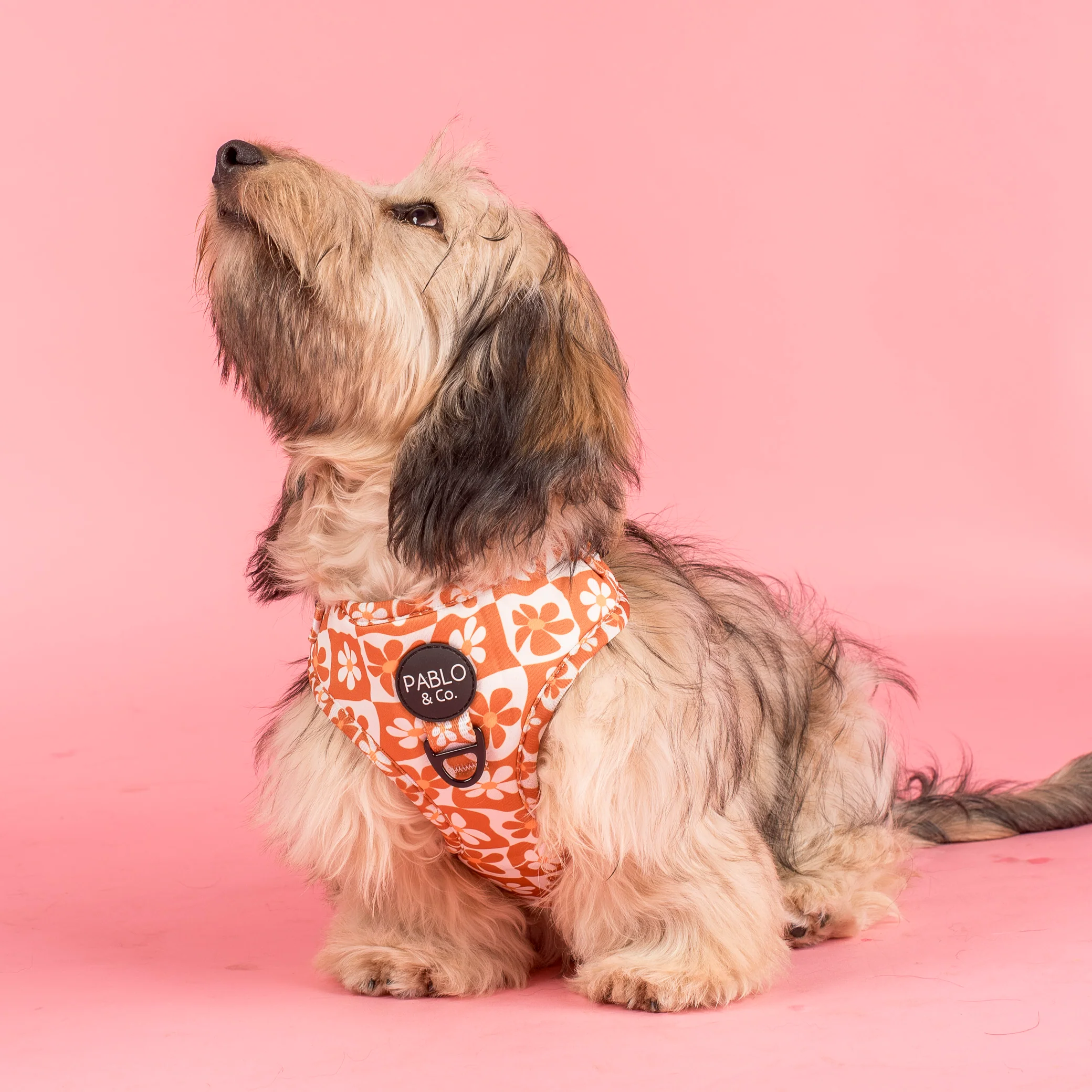 Retro Dazie: Adjustable Harness - Image 4