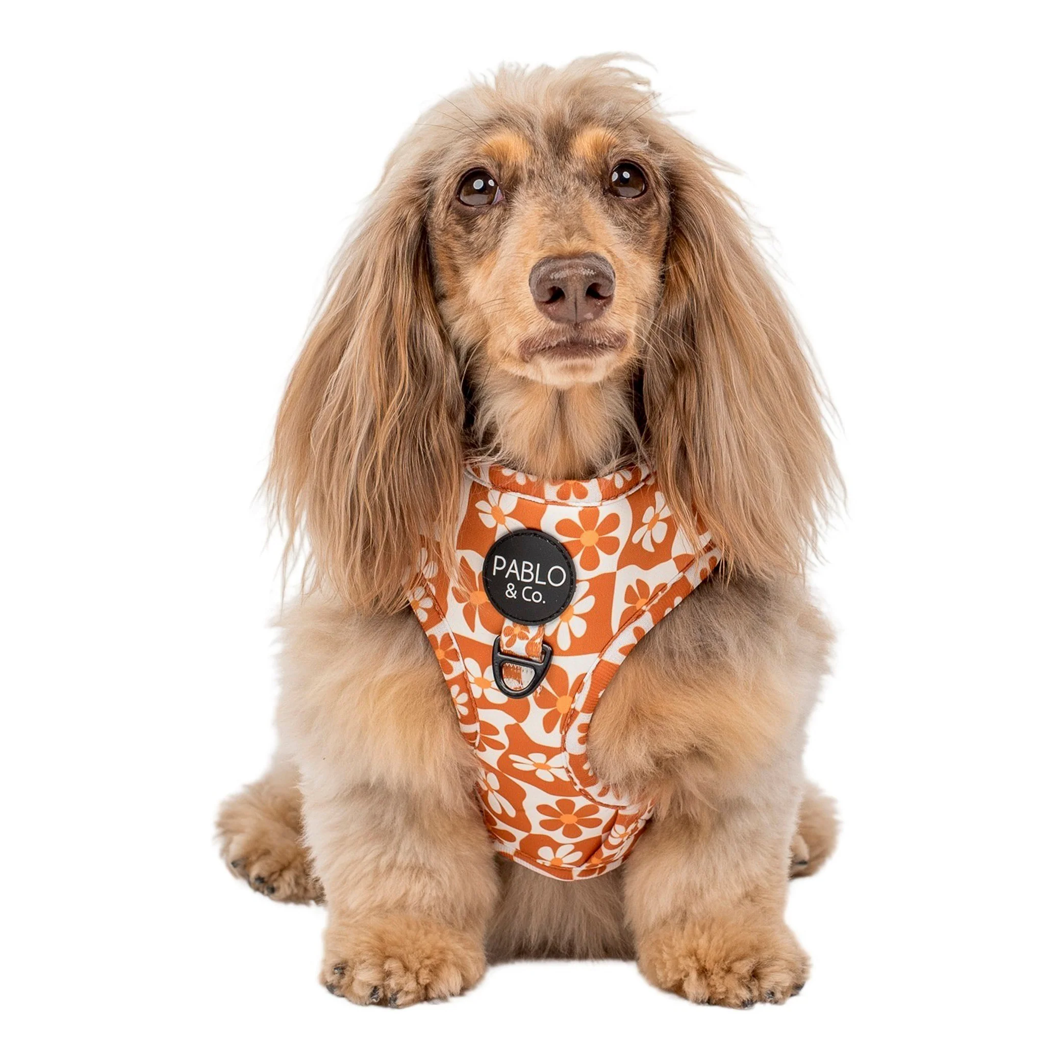 Retro Dazie: Adjustable Harness - Image 5