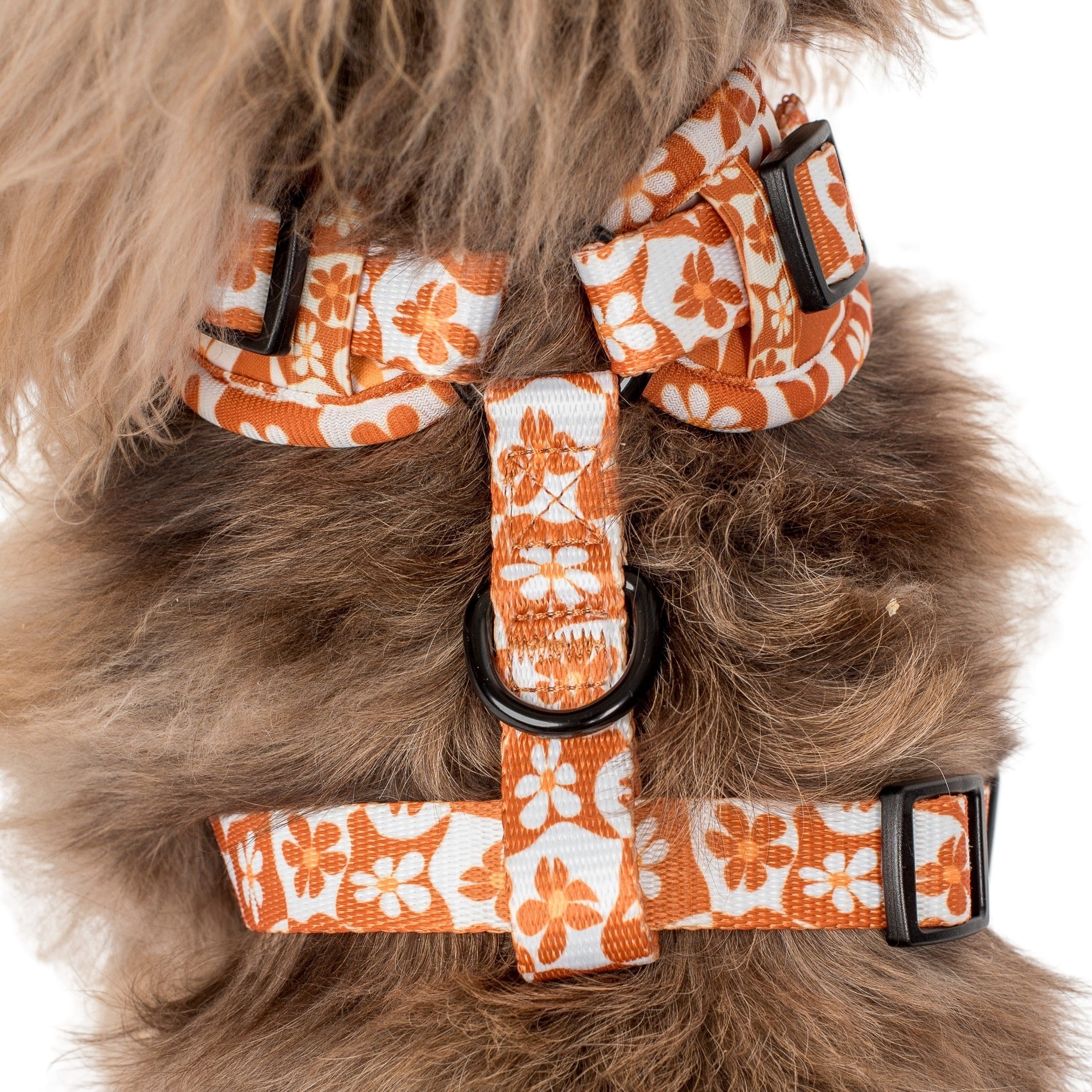 Retro Dazie: Adjustable Harness - Image 8
