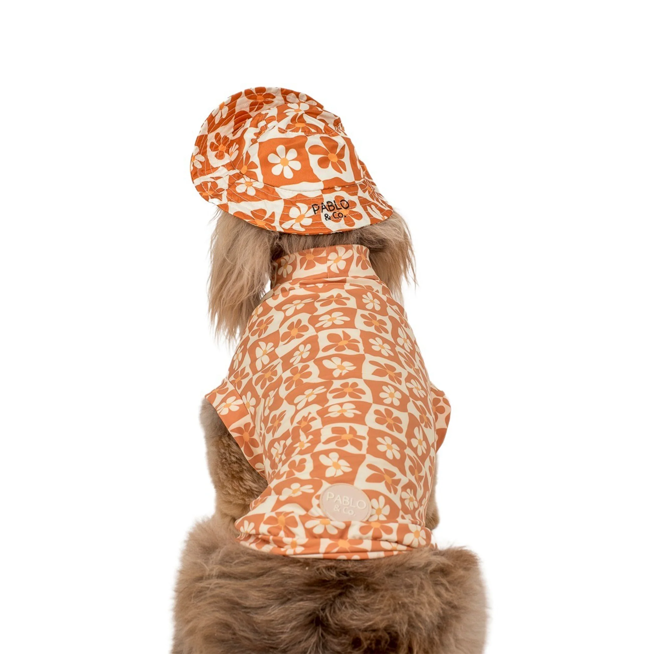Retro Dazie: Cooling Dog Rashie - Image 4