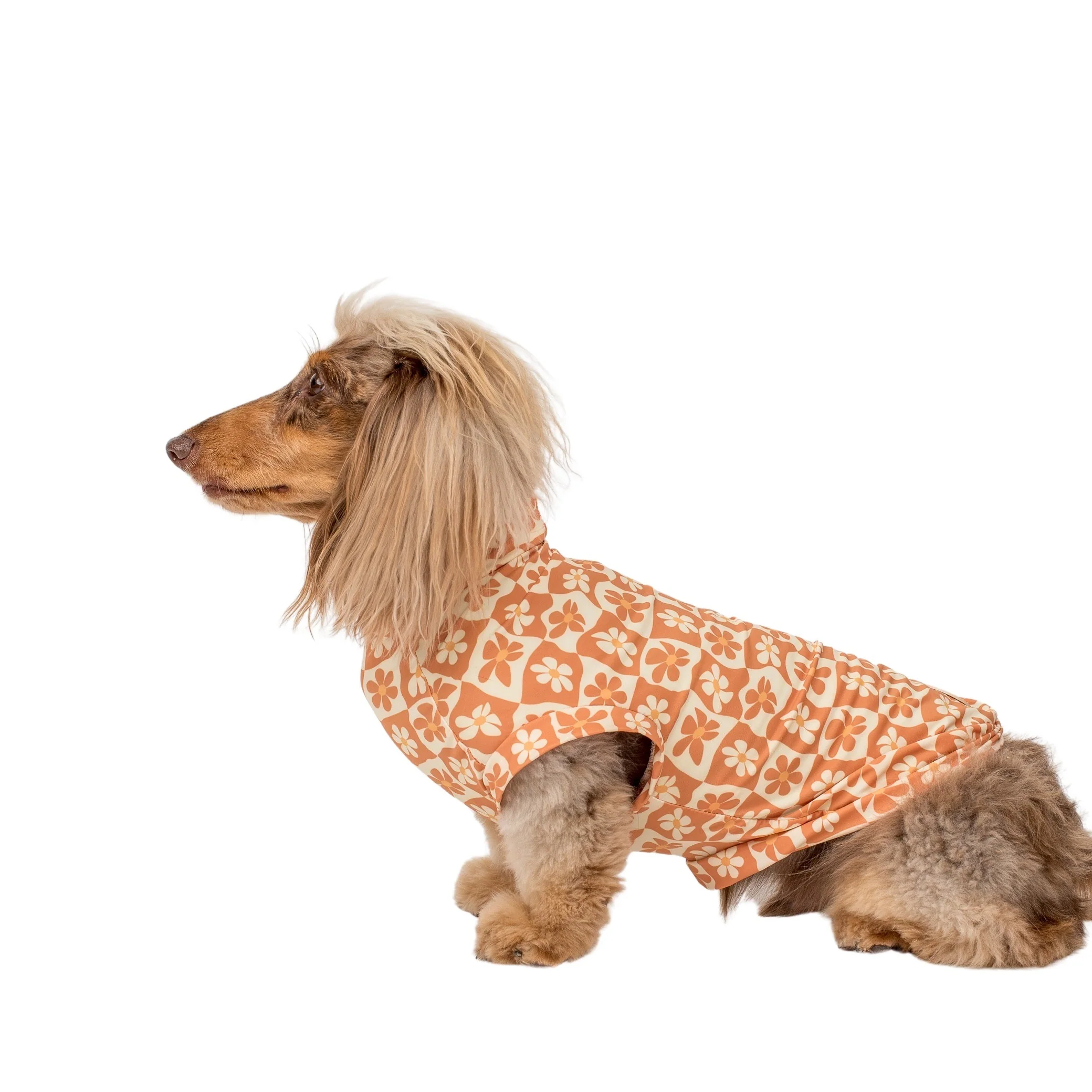 Retro Dazie: Cooling Dog Rashie - Image 6