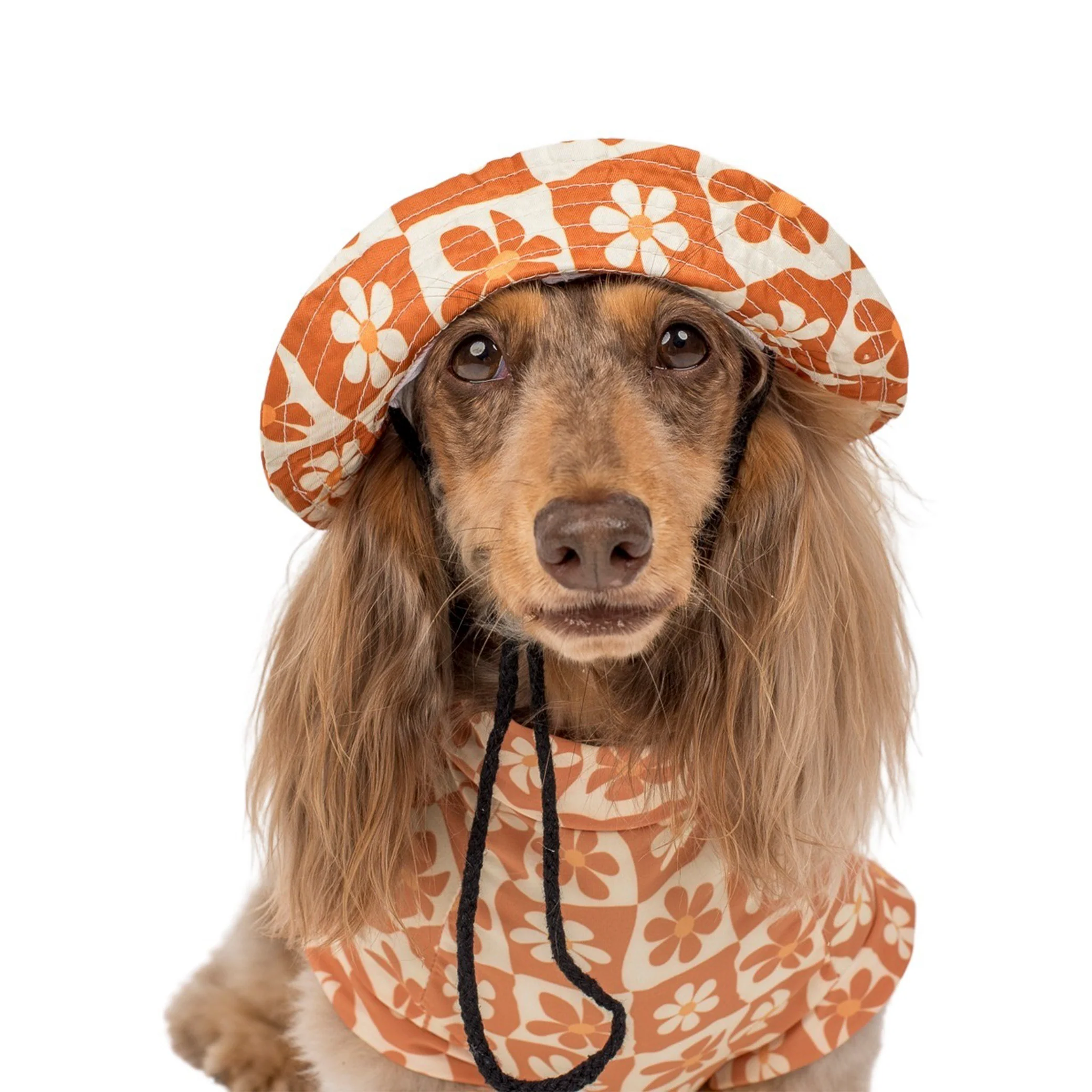 Retro Dazie: Cooling Dog Rashie - Image 7