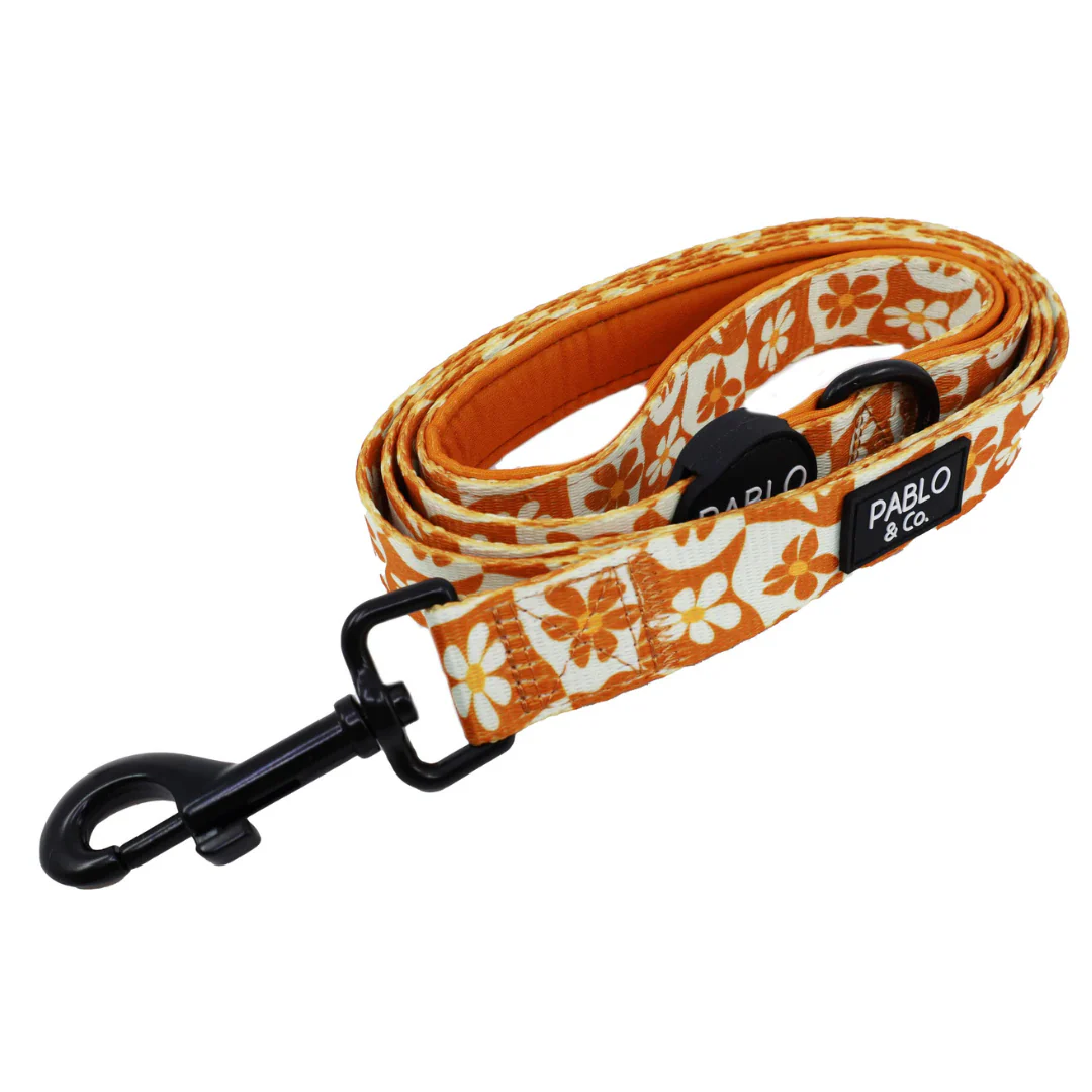Retro Dazie: Dog Leash