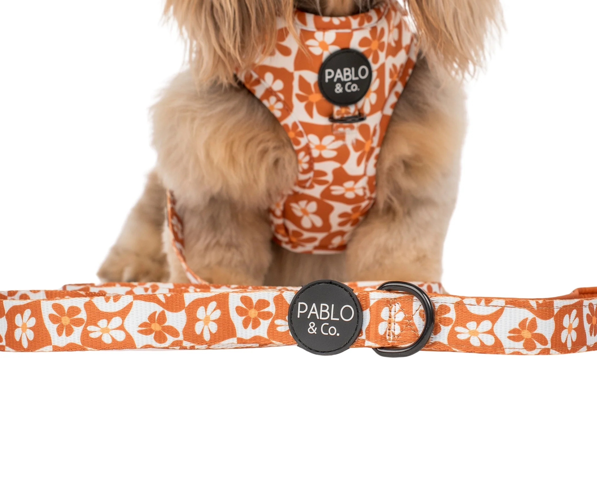Retro Dazie: Dog Leash - Image 2