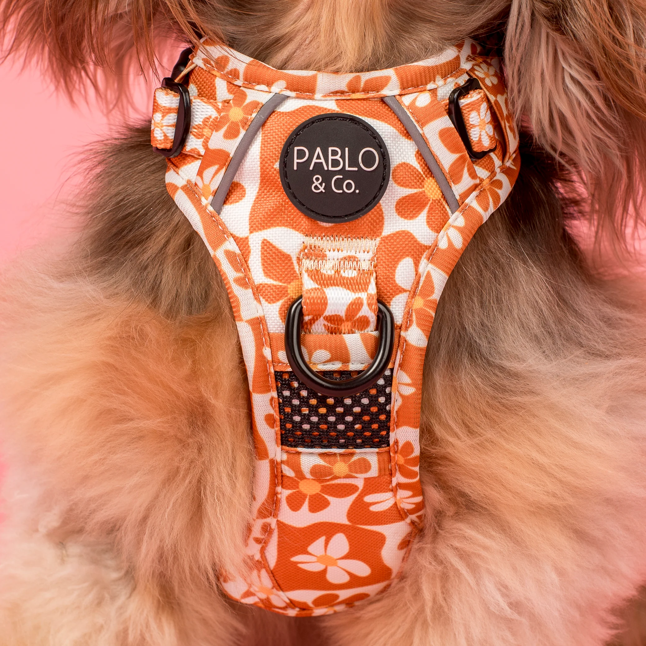 Retro Dazie: No Pull Adventure Harness - Image 2