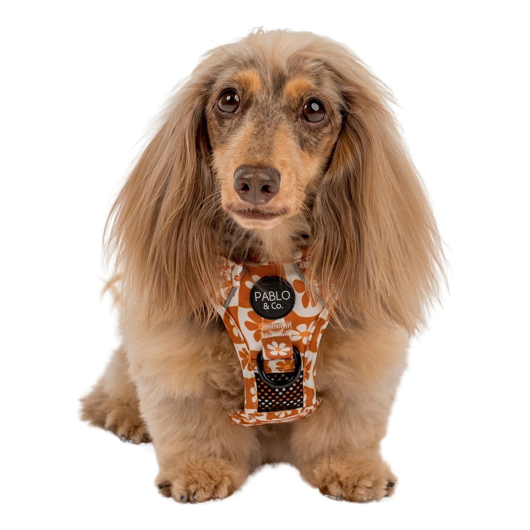 Retro Dazie: No Pull Adventure Harness - Image 6