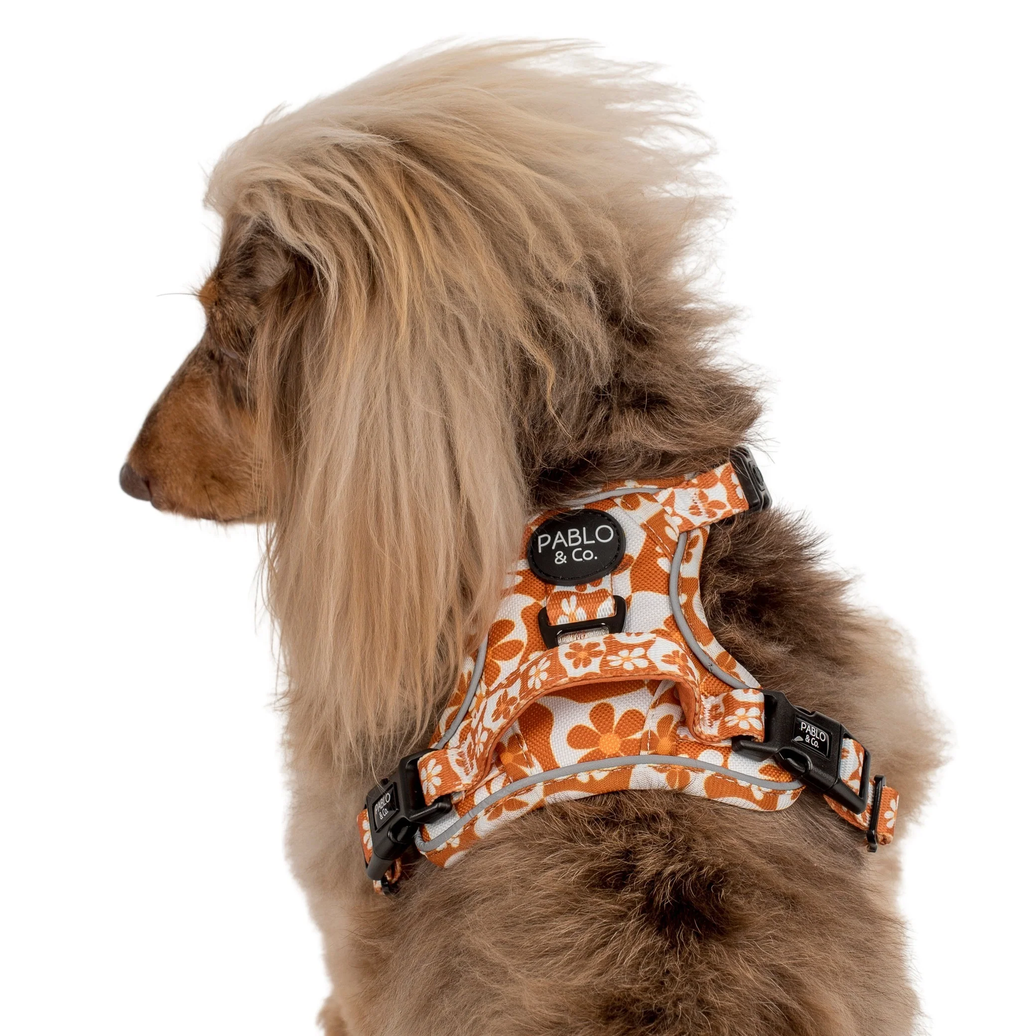 Retro Dazie: No Pull Adventure Harness - Image 8