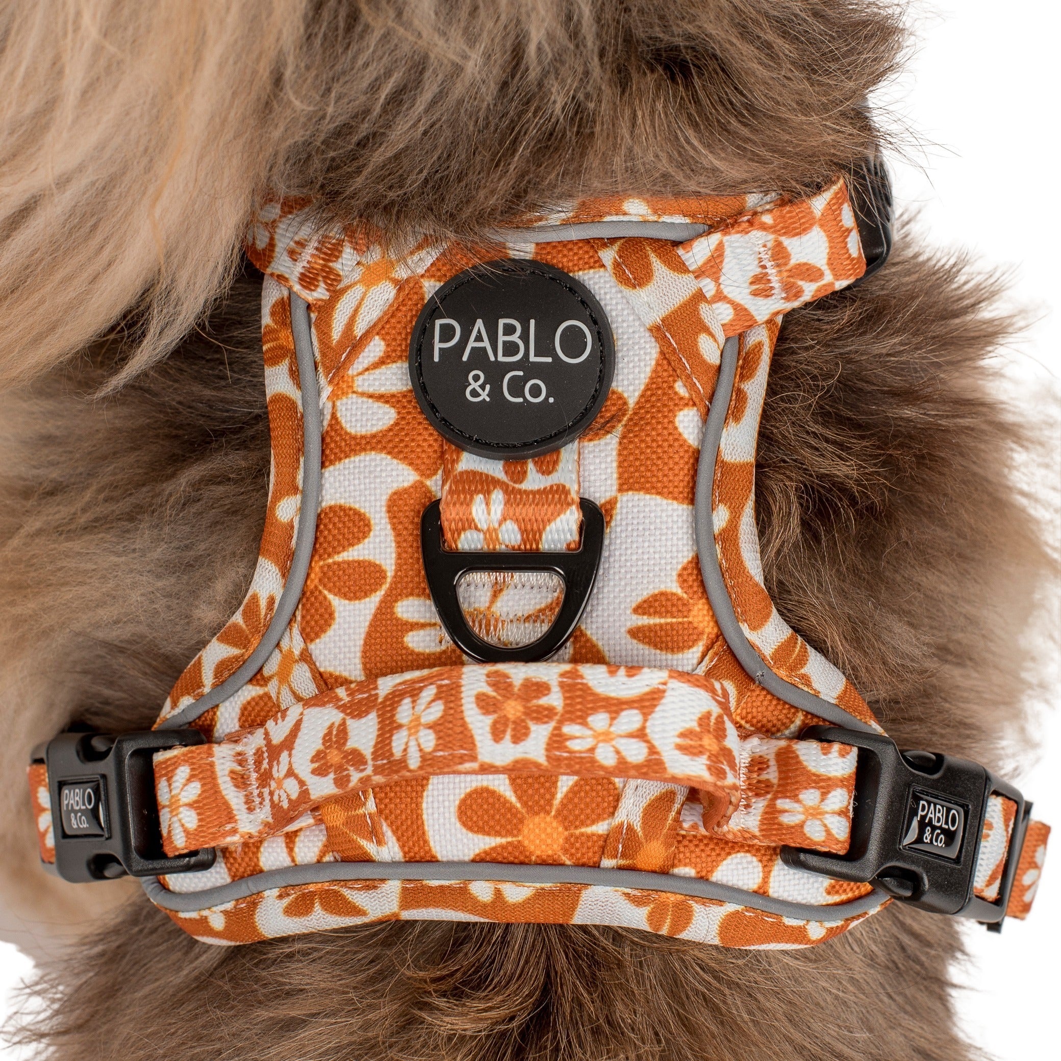 Retro Dazie: No Pull Adventure Harness - Image 9