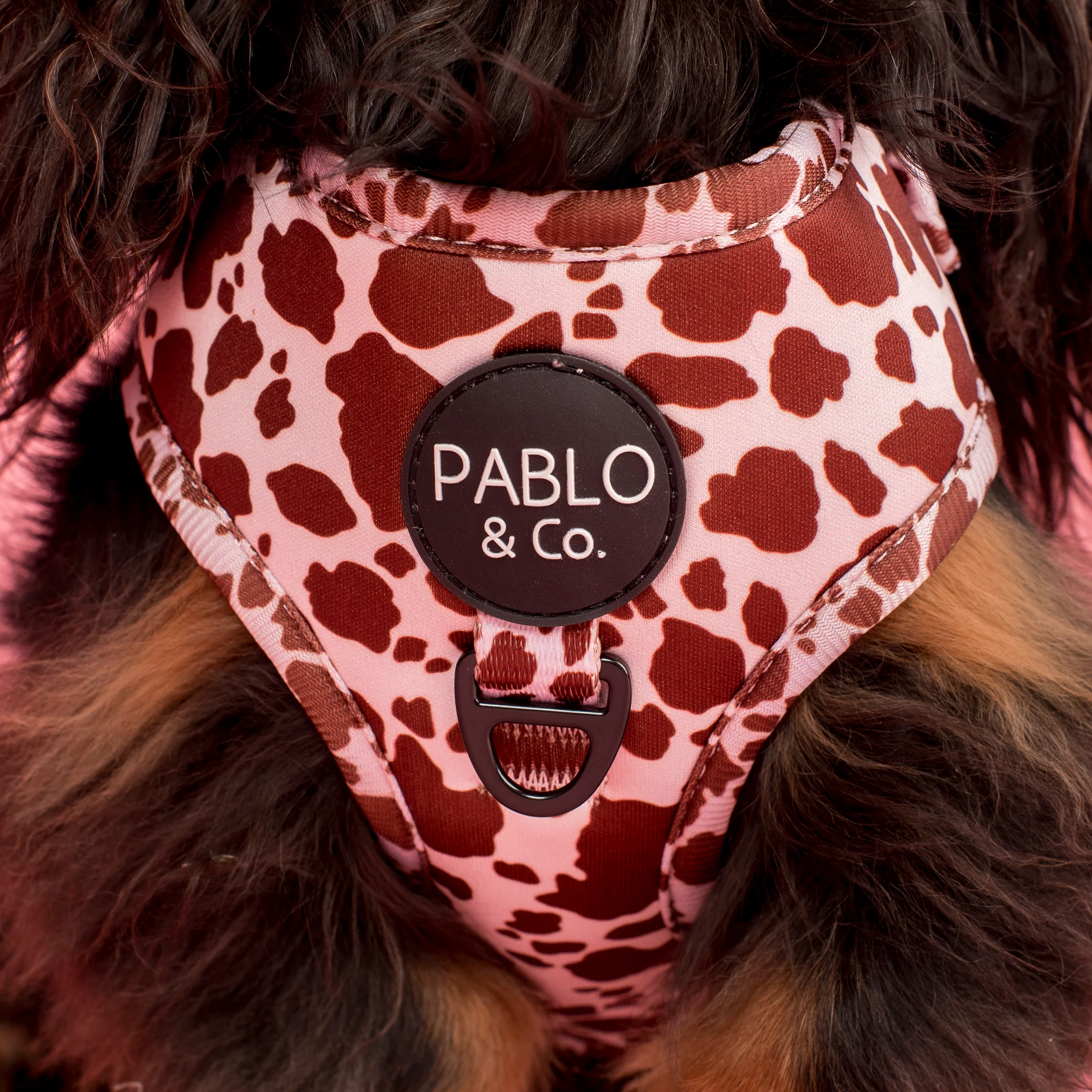 Rodeo: Adjustable Harness - Image 2