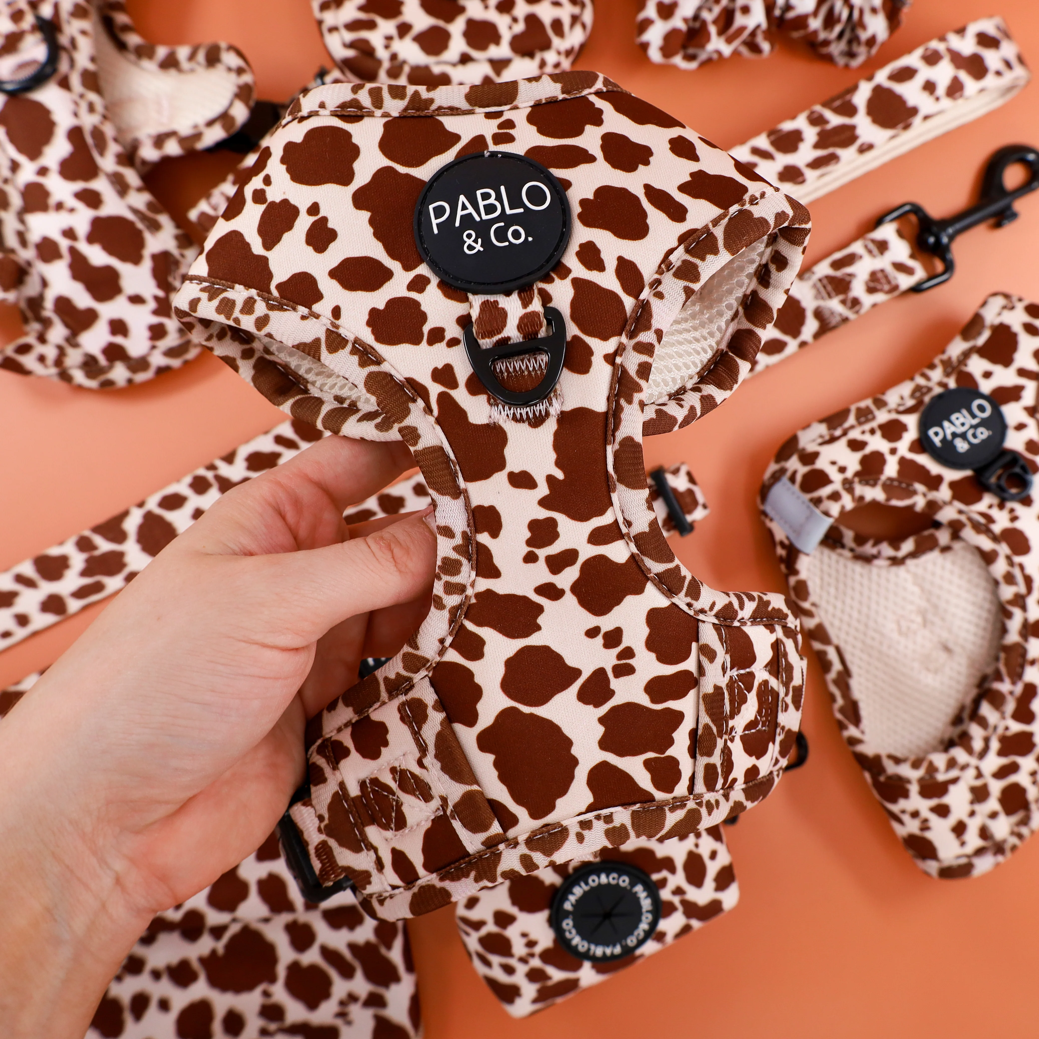 Rodeo: Adjustable Harness - Image 9