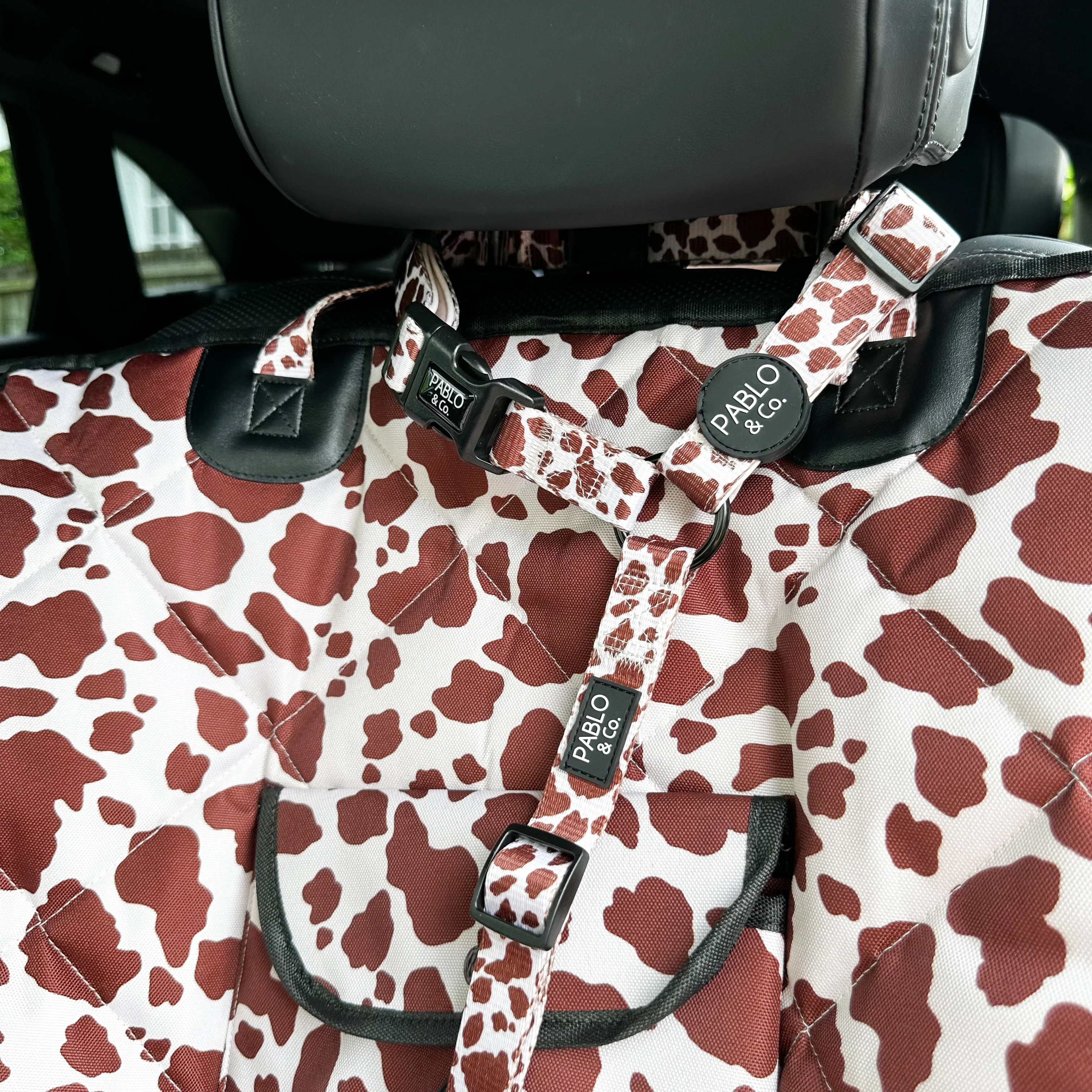 Rodeo: Headrest Car Restraint
