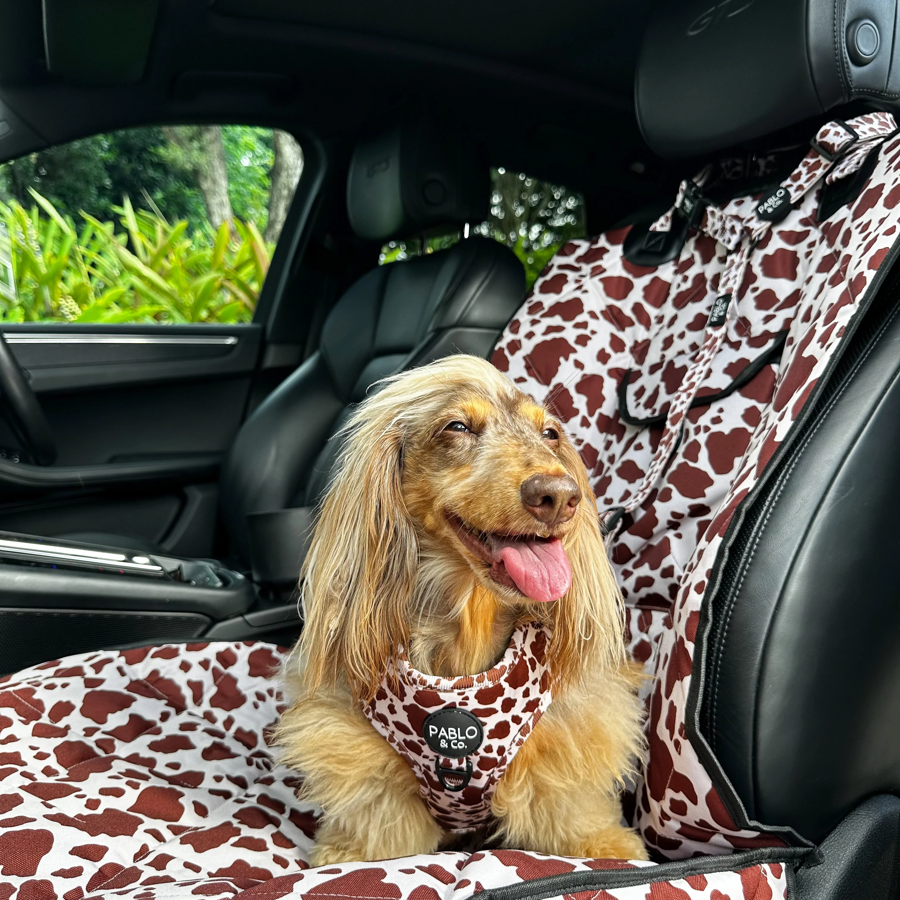 Rodeo: Headrest Car Restraint - Image 3