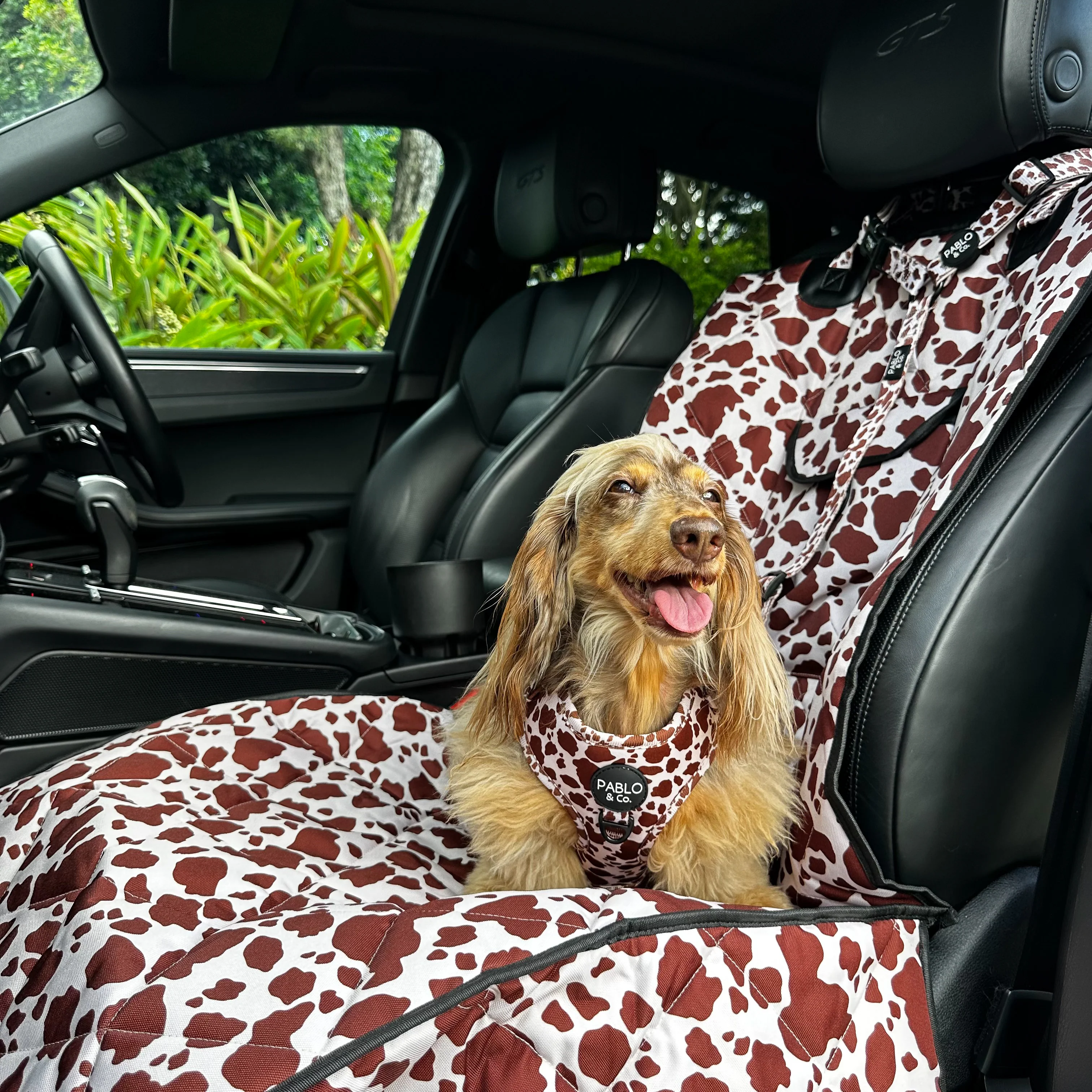 Rodeo: Headrest Car Restraint - Image 4